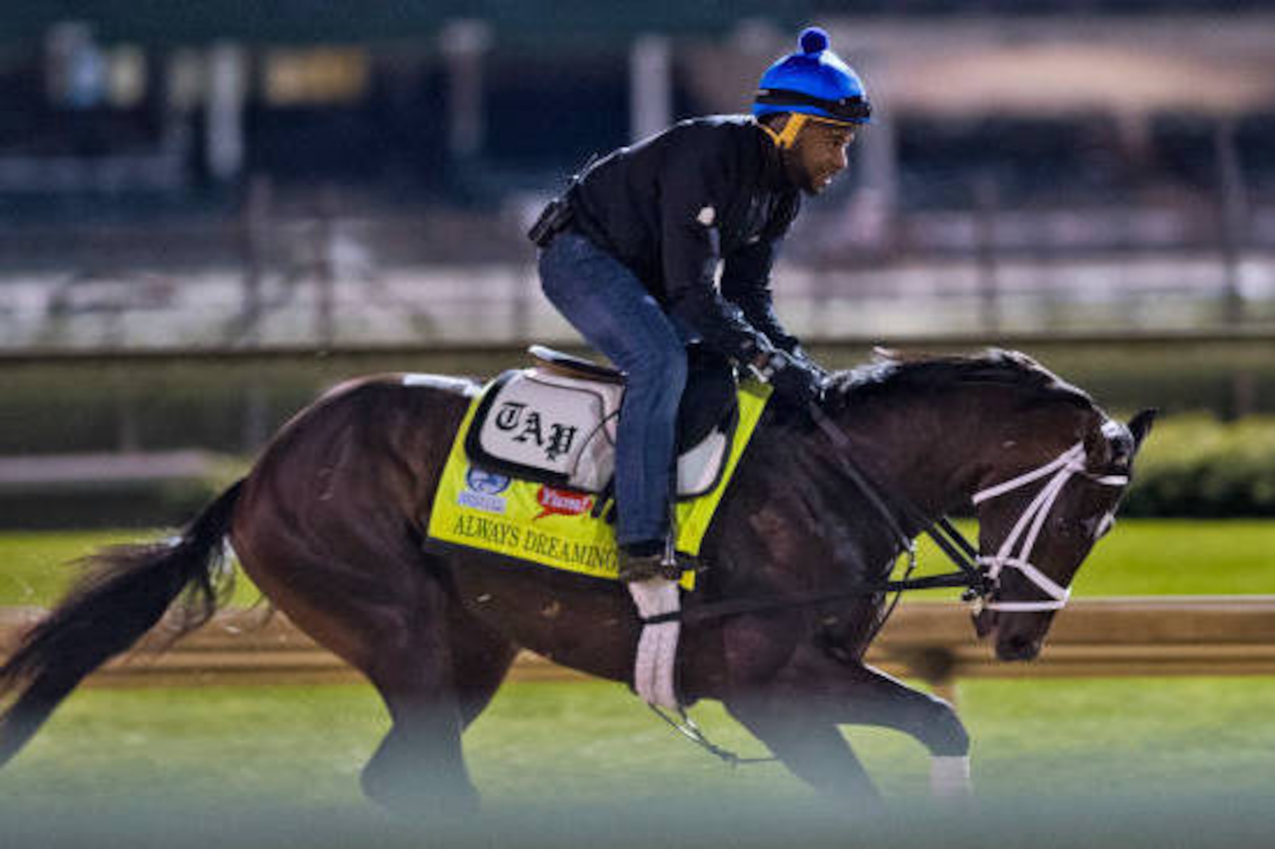LOUISVILLE, KENTUCKY - MAY 03: Always Dreaming, owned by Brooklyn Boyz Stables and trained by Todd Pletcher, exercises in preparation for the Kentucky Derby at Churchill Downs on May 3, 2017 in Louisville, Kentucky. (Photo by Scott Serio/Eclipse Sportswir LOUISVILLE, KENTUCKY - MAY 03: Always Dreaming, owned by Brooklyn Boyz Stables and trained by Todd Pletcher, exercises in preparation for the Kentucky Derby at Churchill Downs on May 3, 2017 in Louisville, Kentucky. (Photo by Scott Serio/Eclipse Sportswir