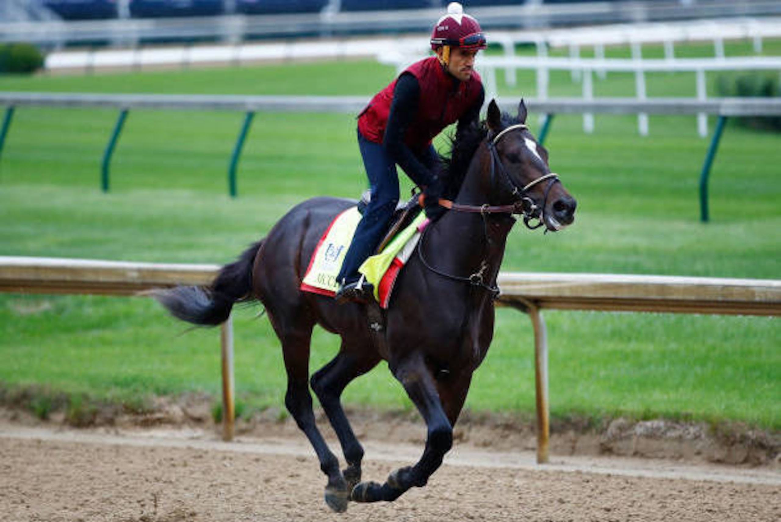 LOUISVILLE, KY - MAY 04: McCraken trains on track prior to the 143rd Kentucky Derby at Churchill Downs on May 4, 2017 in Louisville, Kentucky. (Photo by Gregory Shamus/Getty Images)