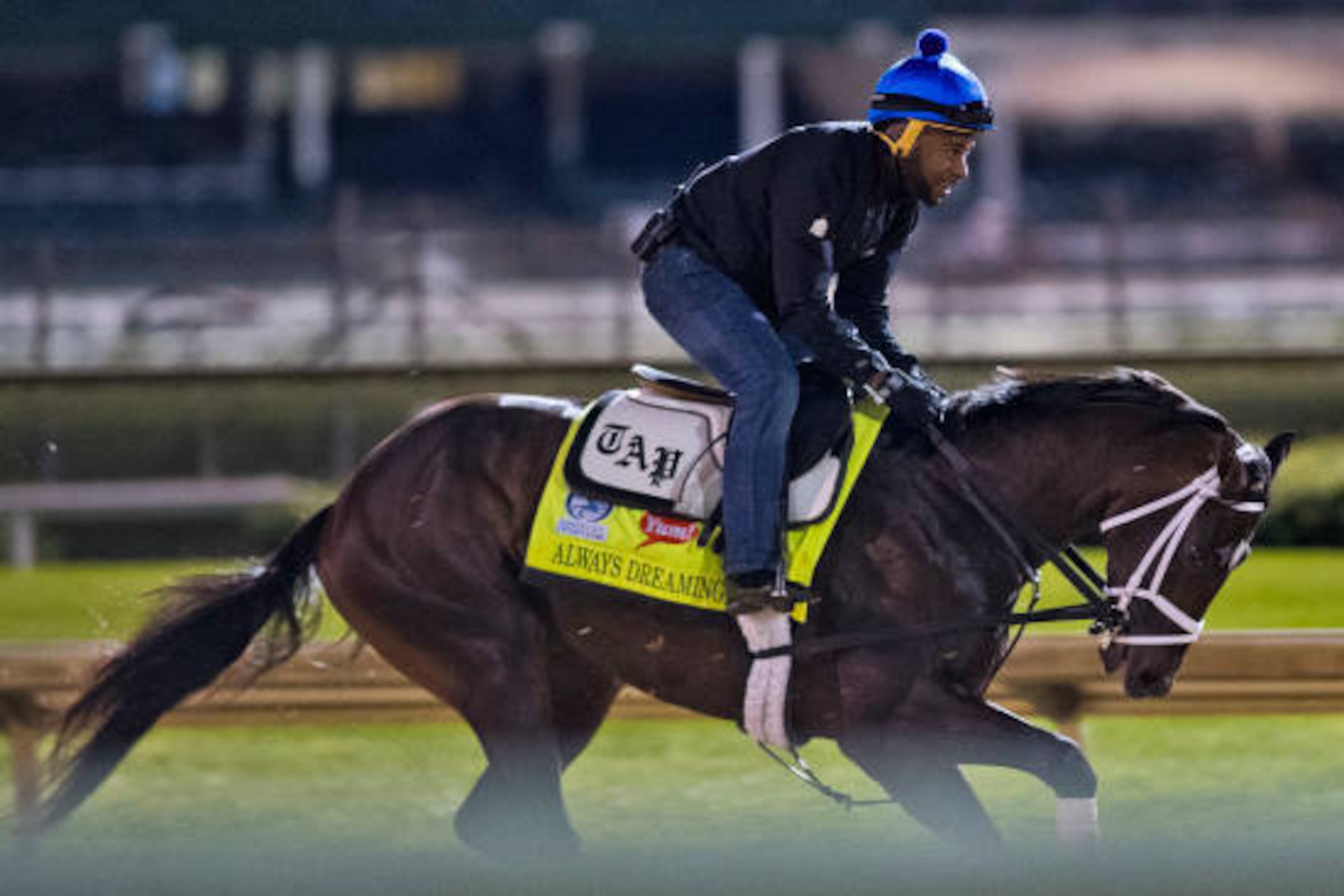 LOUISVILLE, KENTUCKY - MAY 03: Always Dreaming, owned by Brooklyn Boyz Stables and trained by Todd Pletcher, exercises in preparation for the Kentucky Derby at Churchill Downs on May 3, 2017 in Louisville, Kentucky. (Photo by Scott Serio/Eclipse Sportswir
