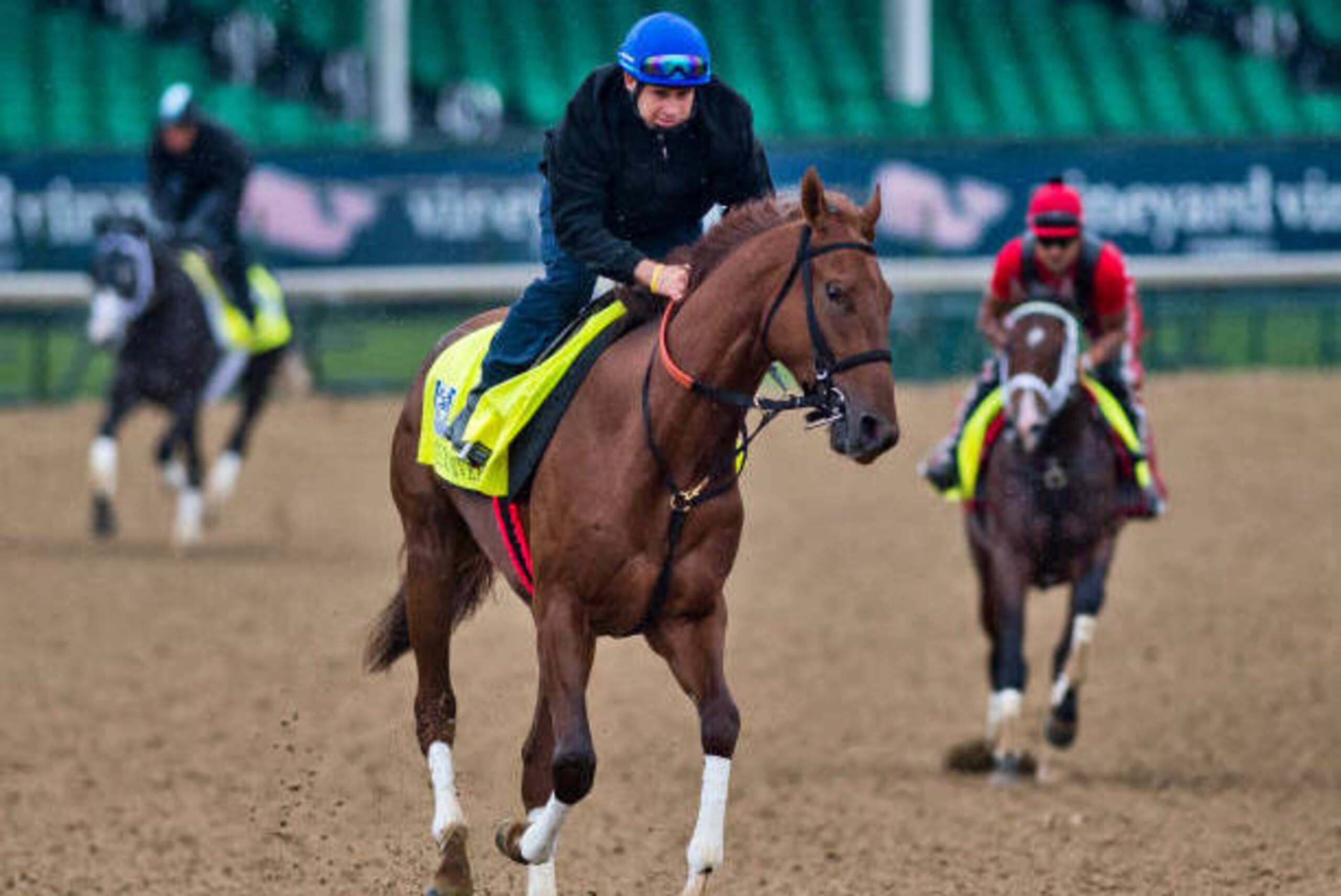LOUISVILLE, KENTUCKY - MAY 04: Gunnevera exercises during Kentucky Derby and Oaks preparations at Churchill Downs on May 4, 2017 in Louisville, Kentucky. (Photo by Scott Serio/Eclipse Sportswire/Getty Images)