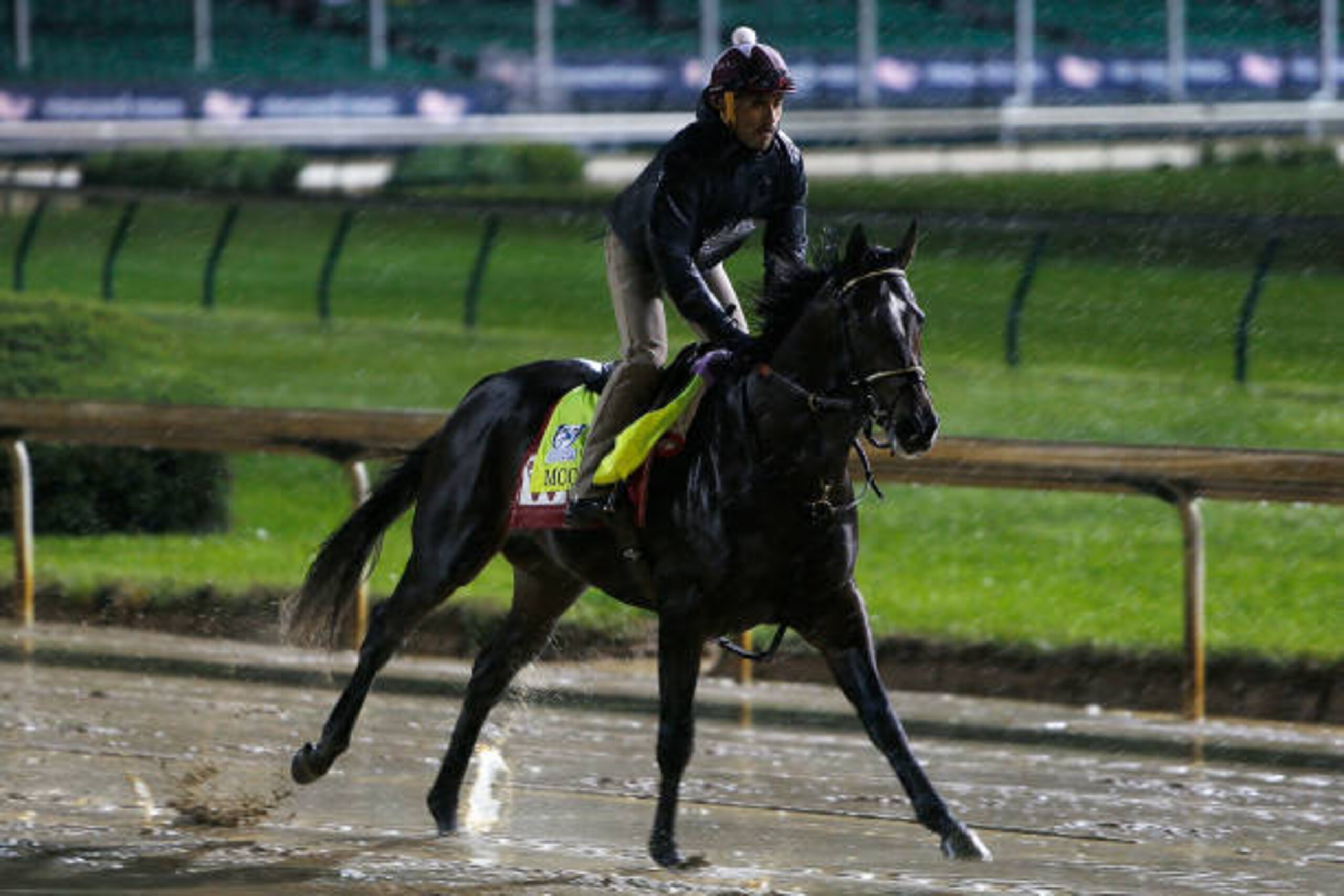 LOUISVILLE, KY - MAY 05:  McCraken runs on the track during morning training prior to the 143rd Kentucky Derby at Churchill Downs on May 5, 2017 in Louisville, Kentucky.  (Photo by Michael Reaves/Getty Images)