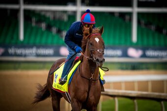 LOUISVILLE, KY - MAY 03: Irish War Cry, owned by Isabelle de Tomaso and trained by H. Graham Motion, exercises in preparation for the Kentucky Derby at Churchill Downs on May 03, 2017 in Louisville, Kentucky. (Photo by Alex Evers/Eclipse Sportswire/Getty 