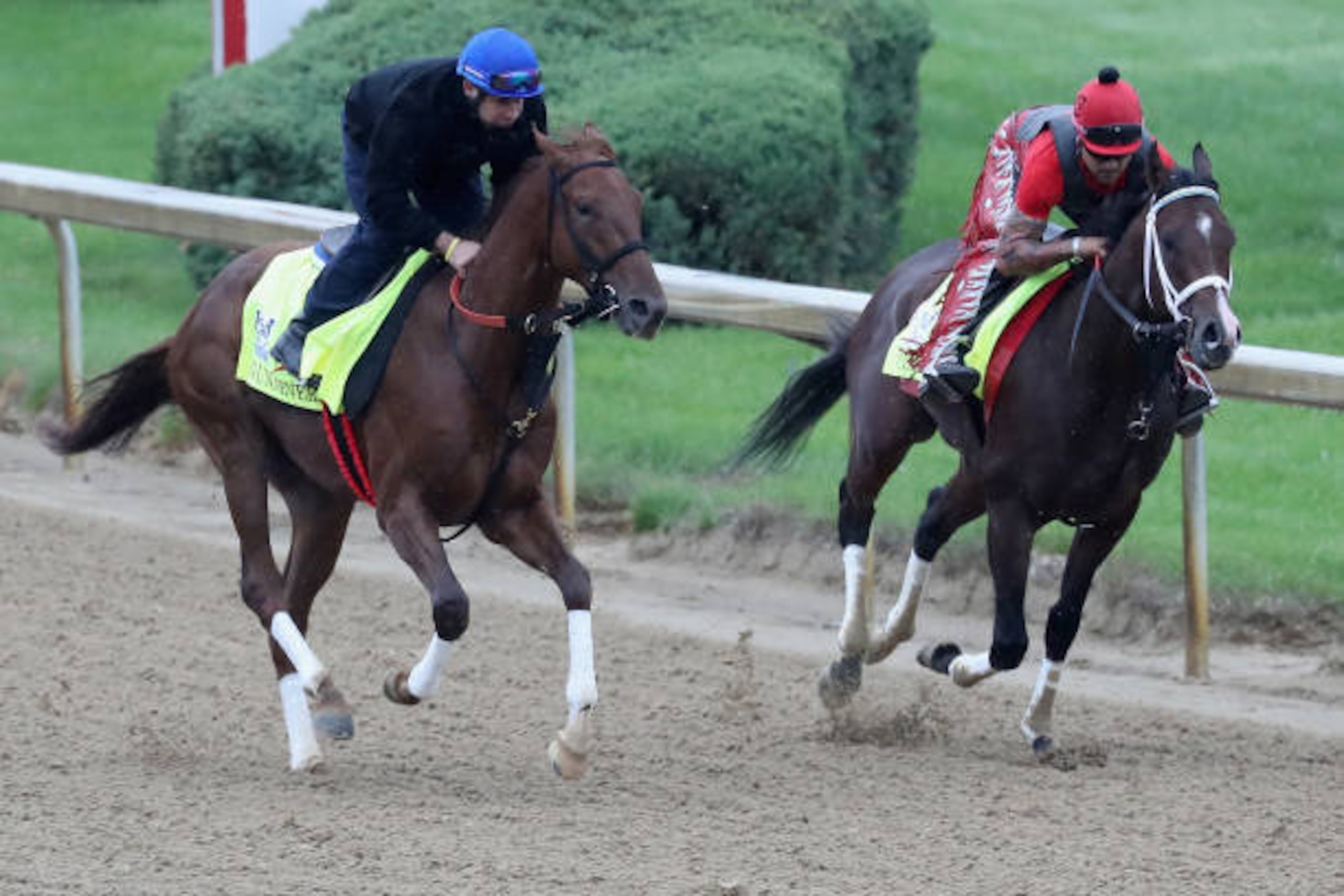 LOUISVILLE, KY - MAY 04: Gunnevera (L) and Classic Empire train on the track for the Kentucky Derby at Churchill Downs on May 4, 2017 in Louisville, Kentucky. (Photo by Rob Carr/Getty Images) LOUISVILLE, KY - MAY 04: Gunnevera (L) and Classic Empire train on the track for the Kentucky Derby at Churchill Downs on May 4, 2017 in Louisville, Kentucky. (Photo by Rob Carr/Getty Images)