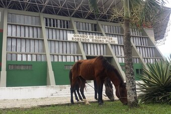 The gym where Costa once punched an opponent for nutmegging him