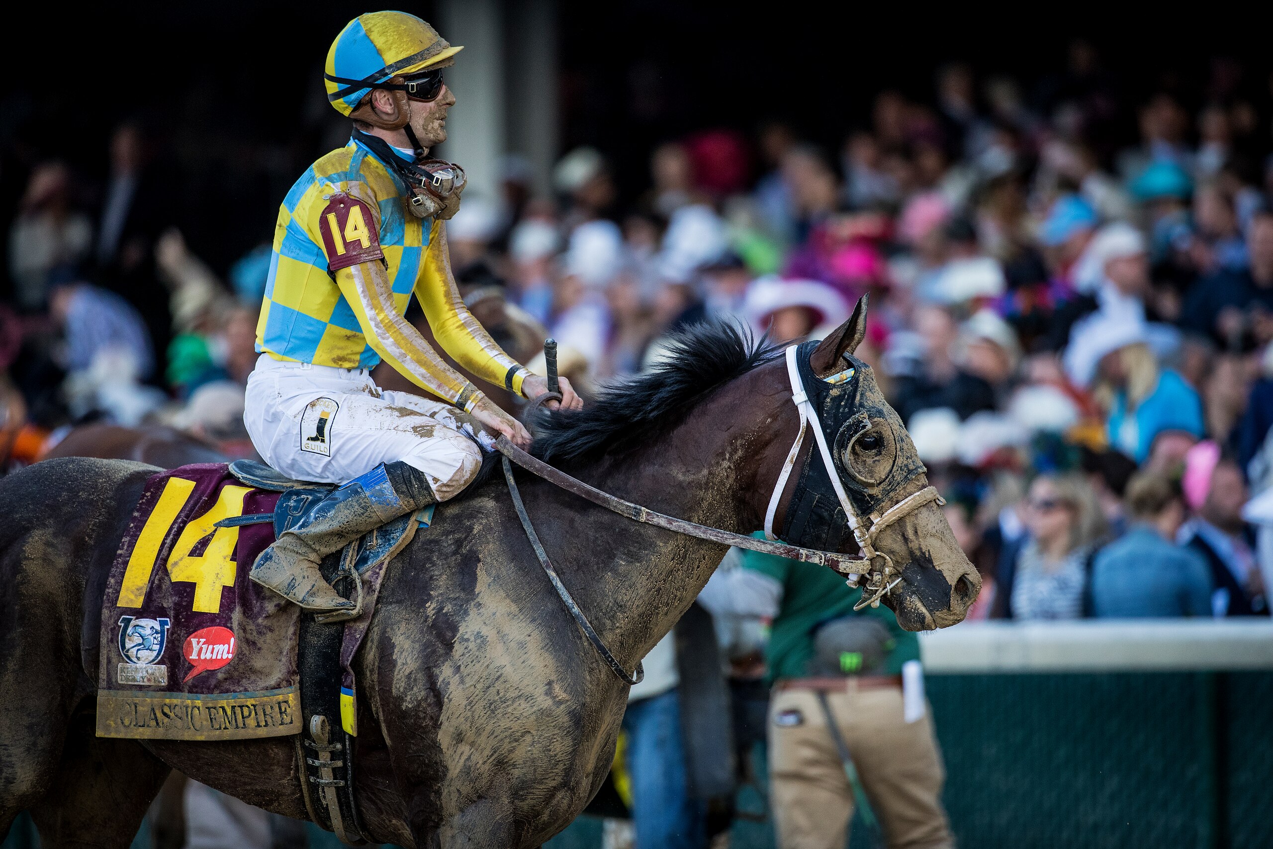 LOUISVILLE, KY - MAY 06: Classic Empire #14 with Julien Leparoux up returns after finishing 4th in the Kentucky Derby at Churchill Downs on May 6, 2017 in Louisville, Kentucky. (Photo by Alex Evers/Eclipse Sportswire/Getty Images)