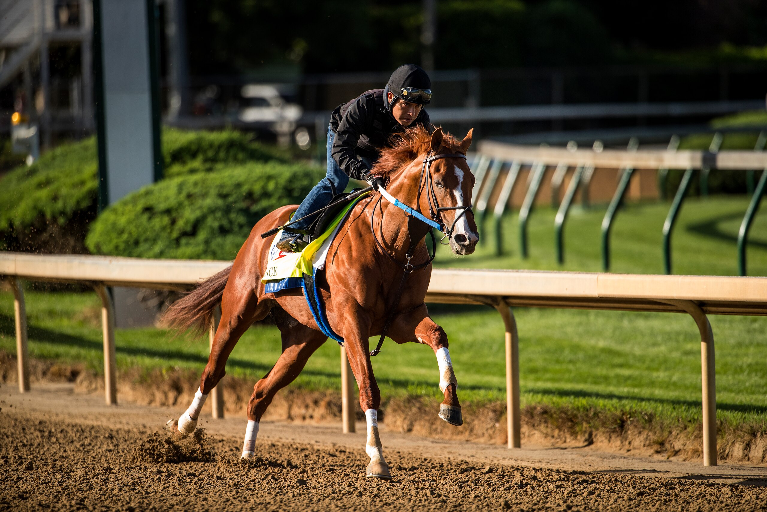 LOUISVILLE, KY - MAY 01: Hence completes his final workout for the Kentucky Derby at Churchill Downs on May 01, 2017 in Louisville, Kentucky. (Photo by Alex Evers/Eclipse Sportswire/Getty Images)