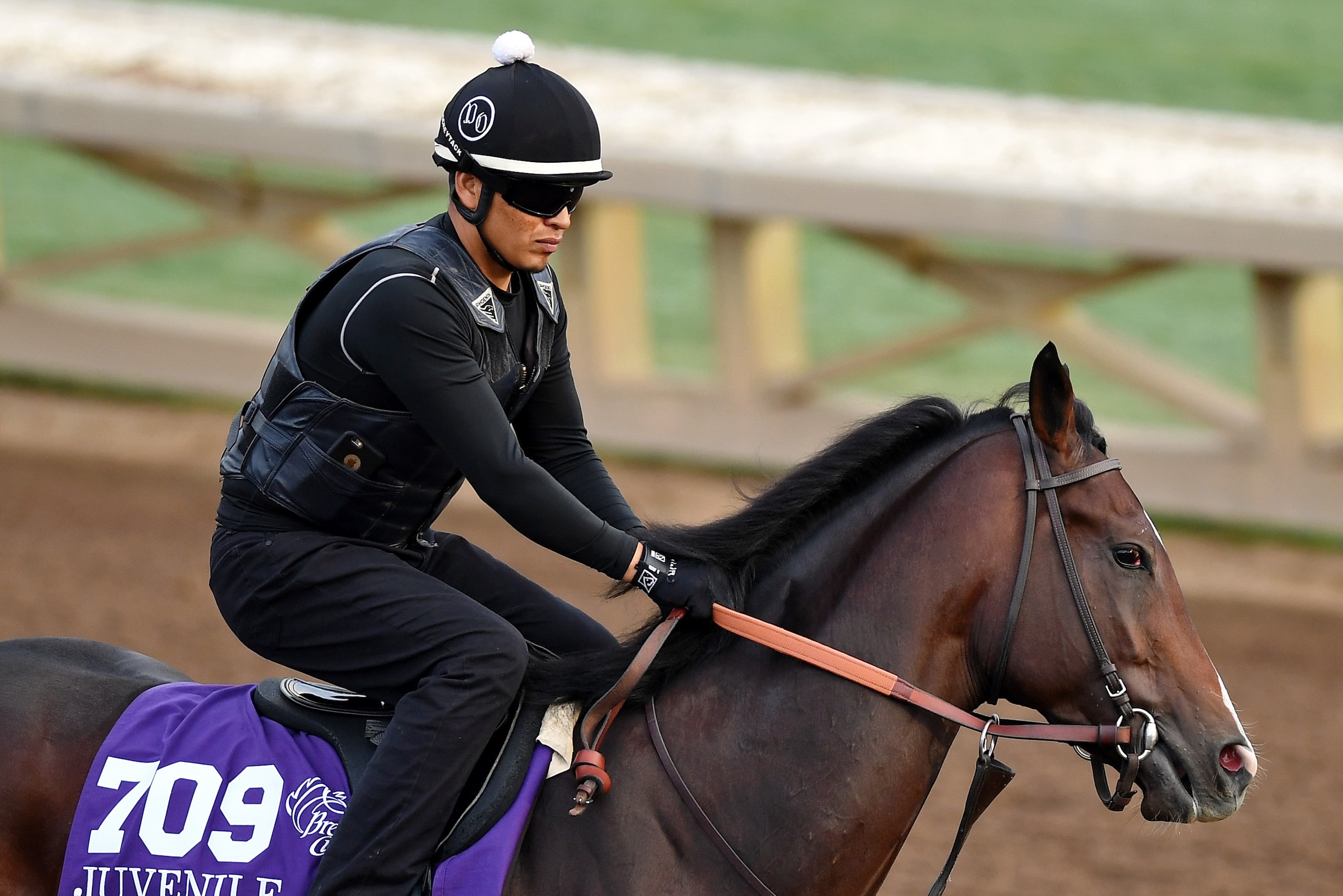 ARCADIA, CA - NOV 01: Term of Art, owned by Calumet Farm and trained by Doug F. OâNeill, exercises in preparation for the Breeders' Cup Sentient Jet Juvenile at Santa Anita Park on November 1, 2016 in Arcadia, California. (Photo by Scott Serio/Breeders Cu ARCADIA, CA - NOV 01: Term of Art, owned by Calumet Farm and trained by Doug F. OâNeill, exercises in preparation for the Breeders' Cup Sentient Jet Juvenile at Santa Anita Park on November 1, 2016 in Arcadia, California. (Photo by Scott Serio/Breeders Cu