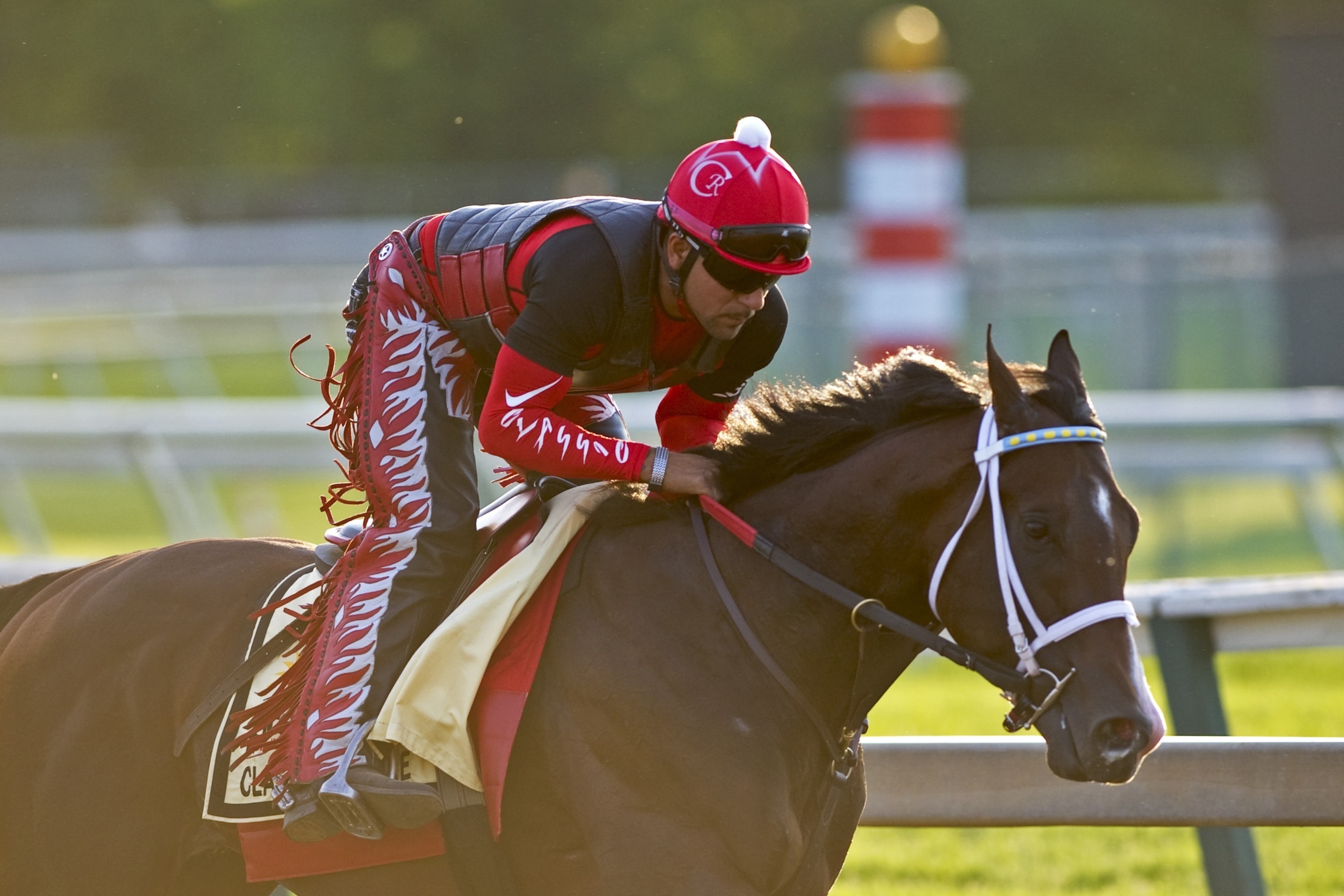 BALTIMORE, MD - MAY 18: Classic Empire on the track in preparation for the Preakness Stakes at Pimlico Race Course on May 18, 2017 in Baltimore, Maryland. (Photo by Horsephotos/Getty Images)