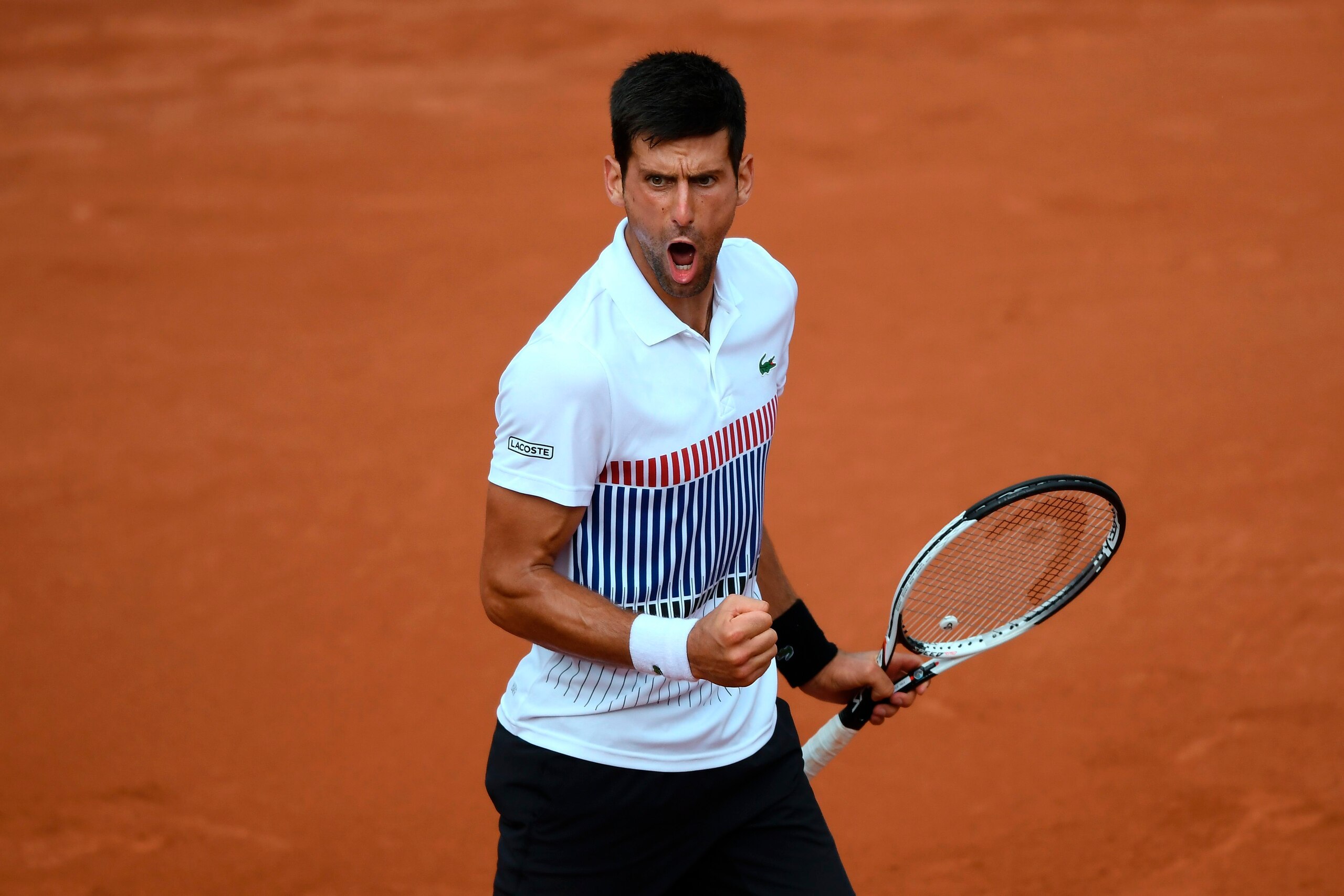 Serbia's Novak Djokovic celebrates after winning against Argentina's Diego Schwartzman during their tennis match at the Roland Garros 2017 French Open on June 2, 2017 in Paris.  / AFP PHOTO / Lionel Bonaventure        (Photo credit should read LIONEL BONA