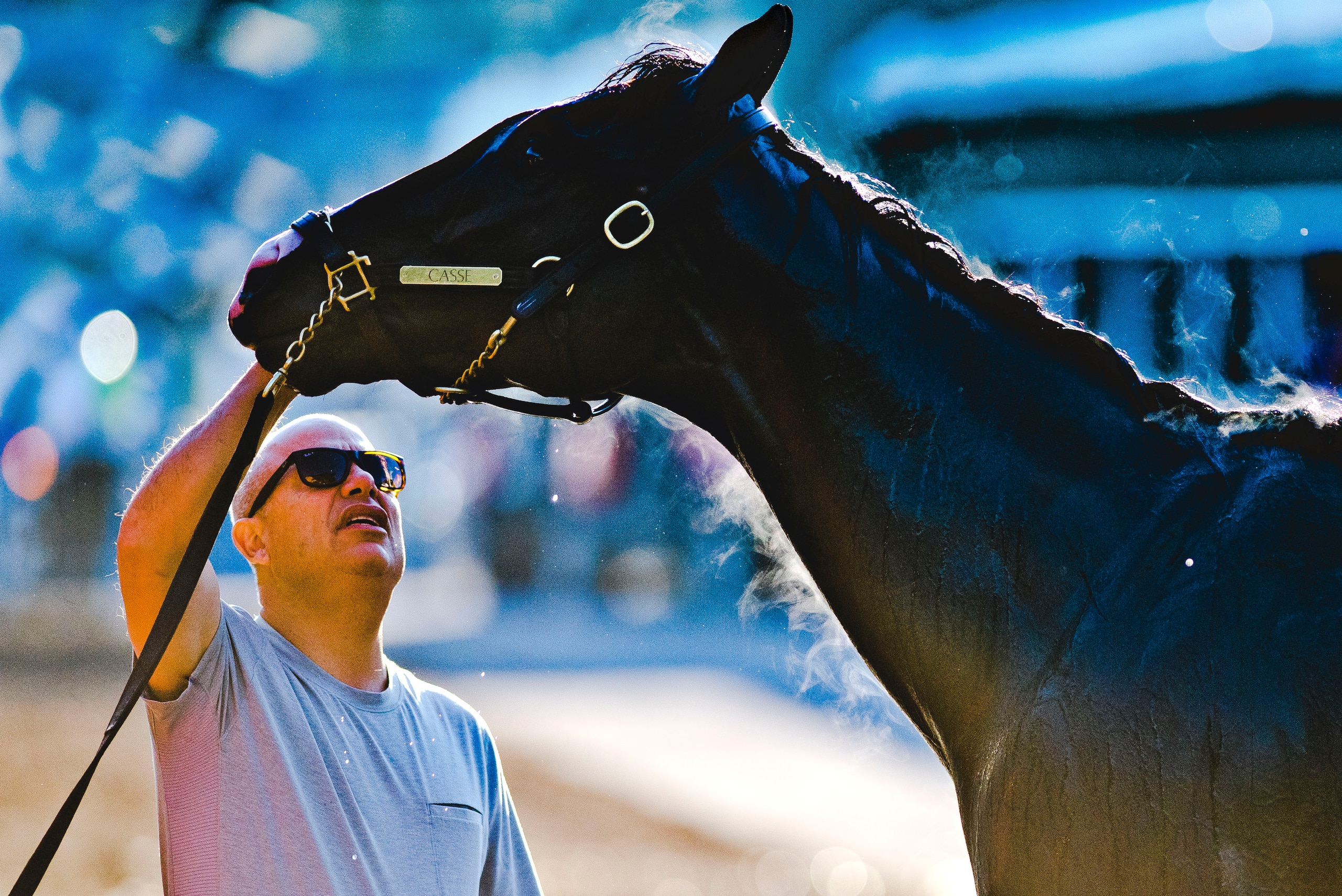BALTIMORE, MD - MAY 17: Trainer Mark Casse looks at Classic Empire as he gets a bath after exercising in preparation for the Preakness Stakes this Saturday at Pimlico Race Course on May 17, 2017 in Baltimore, Maryland.(Photo by Scott Serio/Eclipse Sportsw