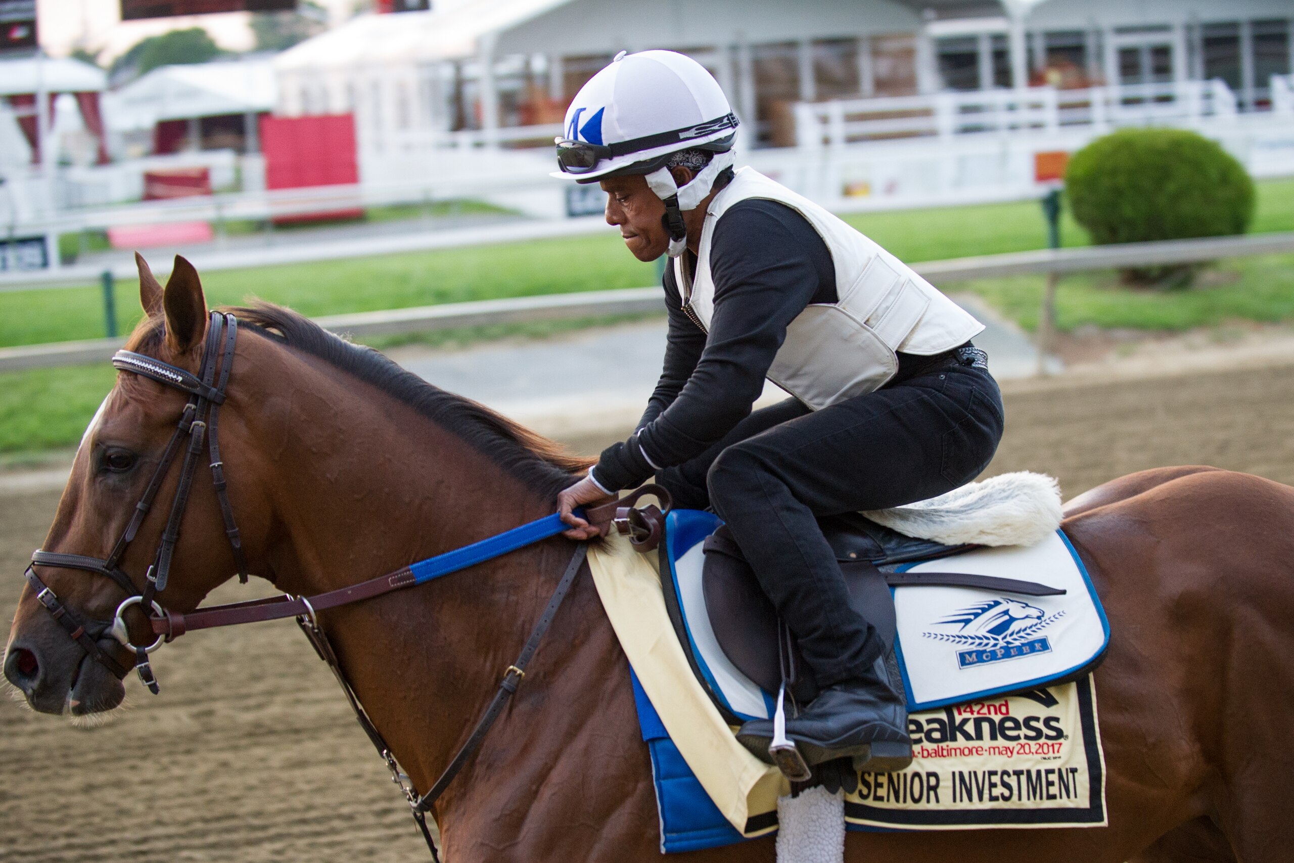 BALTIMORE, MD - MAY 18: Senior Investment  on track  in preparation for the Preakness Stakes at Pimlico Race Course on May 18, 2017 in Baltimore, Maryland. (Photo by Horsephotos/Getty Images)