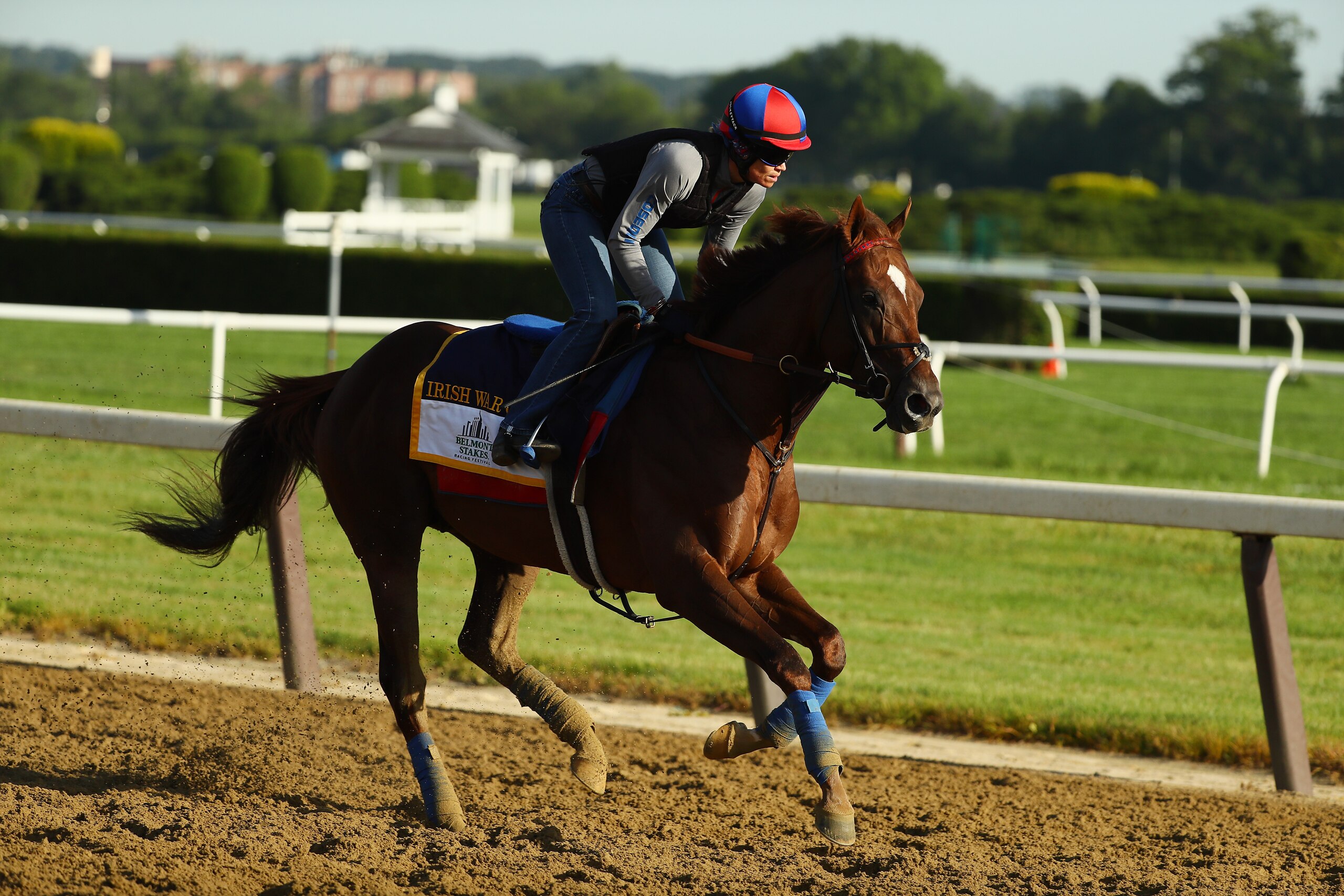 ELMONT, NY - JUNE 08: Belmont Stakes contender Irish War Cry trains with Assistant Trainor Alice Clapham up prior to the 149th running of the Belmont Stakes at Belmont Park on June 8, 2017 in Elmont, New York. (Photo by Al Bello/Getty Images) ELMONT, NY - JUNE 08: Belmont Stakes contender Irish War Cry trains with Assistant Trainor Alice Clapham up prior to the 149th running of the Belmont Stakes at Belmont Park on June 8, 2017 in Elmont, New York. (Photo by Al Bello/Getty Images)