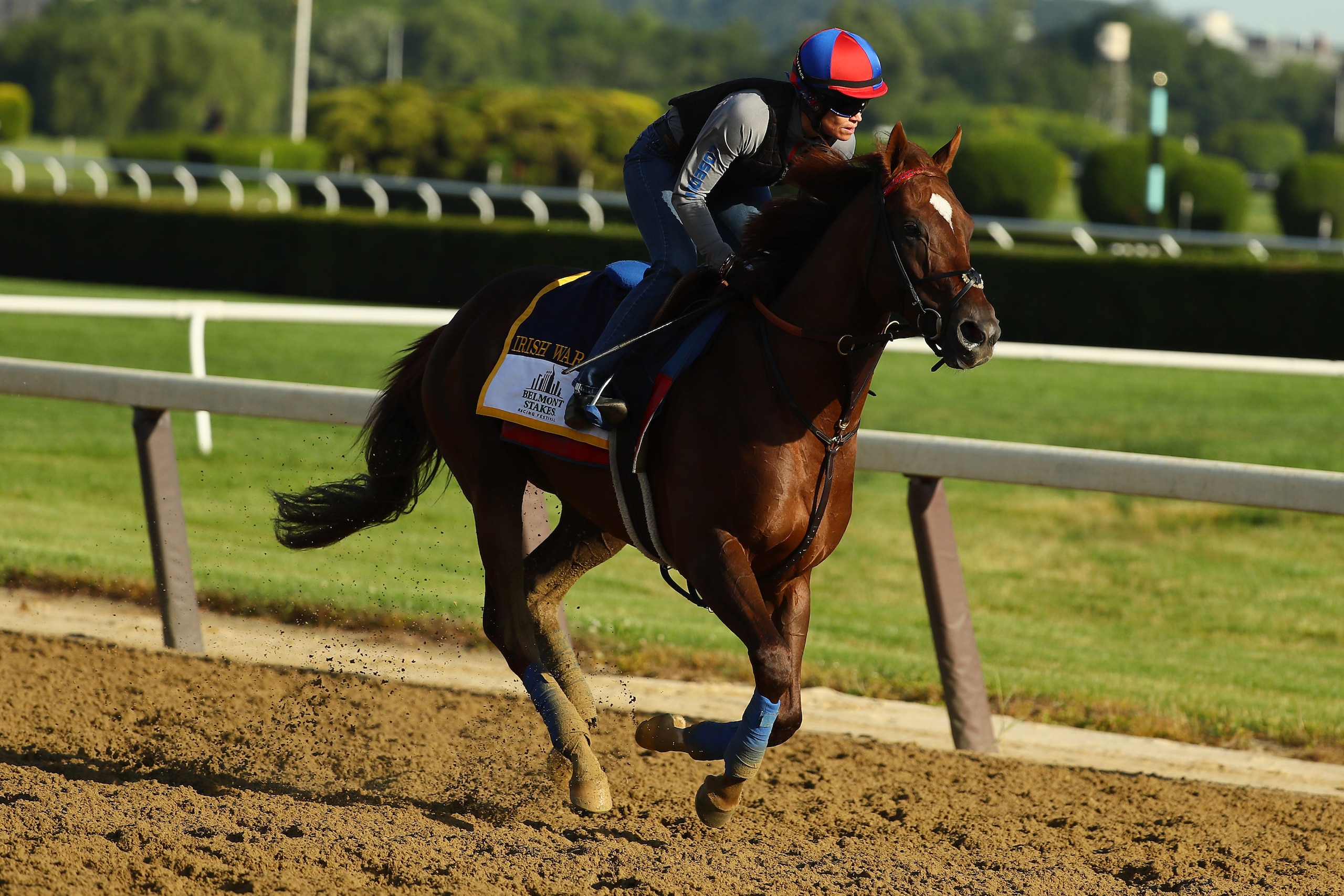 ELMONT, NY - JUNE 08: Belmont Stakes contender Irish War Cry trains with Assistant Trainor Alice Clapham up prior to the 149th running of the Belmont Stakes at Belmont Park on June 8, 2017 in Elmont, New York. (Photo by Al Bello/Getty Images) ELMONT, NY - JUNE 08: Belmont Stakes contender Irish War Cry trains with Assistant Trainor Alice Clapham up prior to the 149th running of the Belmont Stakes at Belmont Park on June 8, 2017 in Elmont, New York. (Photo by Al Bello/Getty Images)