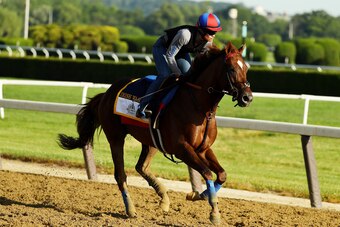 ELMONT, NY - JUNE 08:  Belmont Stakes contender Irish War Cry trains with Assistant Trainor Alice Clapham up prior to the 149th running of the Belmont Stakes at Belmont Park on June 8, 2017 in Elmont, New York.  (Photo by Al Bello/Getty Images)
