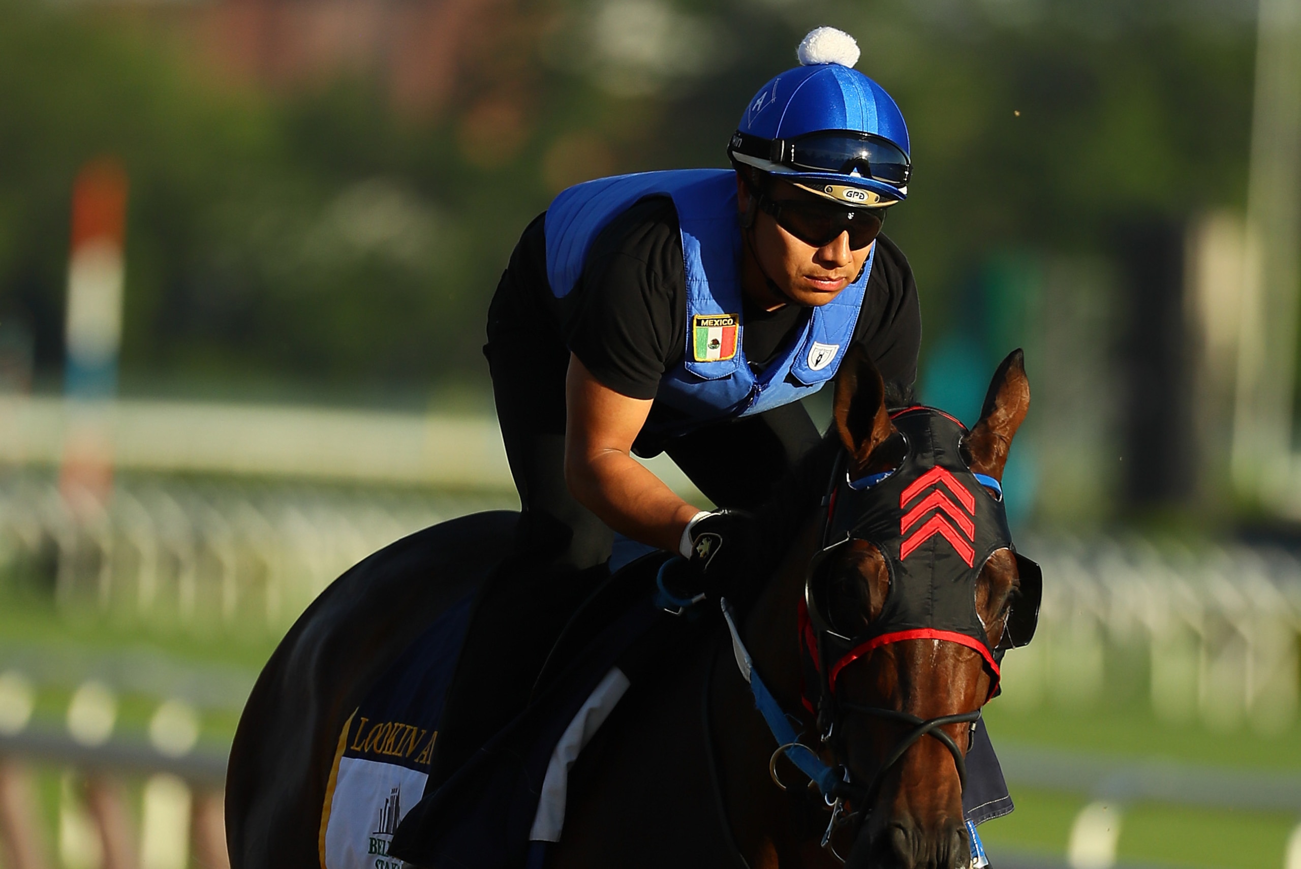 ELMONT, NY - JUNE 08:  Belmont Stakes contender Lookin at Lee trains prior to the 149th running of the Belmont Stakes at Belmont Park on June 8, 2017 in Elmont, New York.  (Photo by Al Bello/Getty Images)