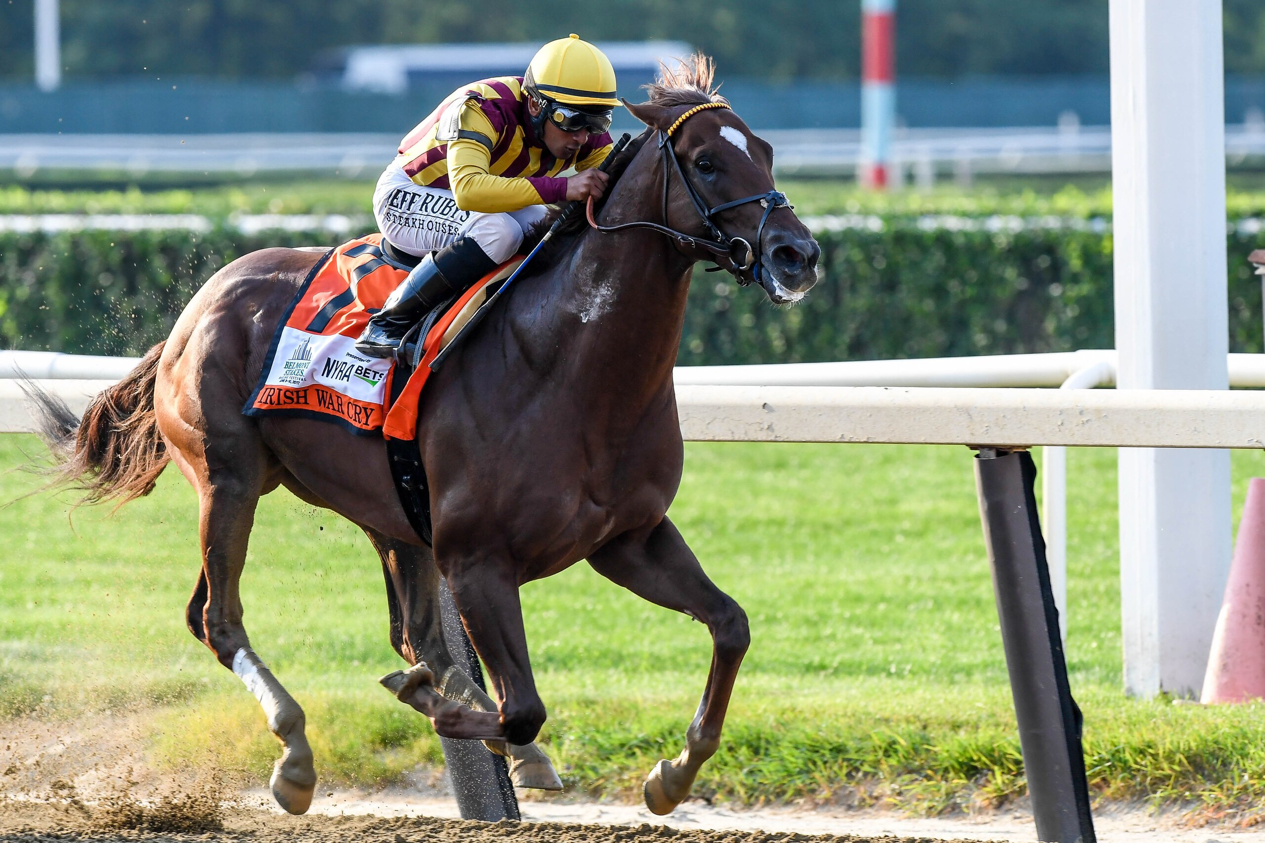 Jun 10, 2017; Elmont, NY, USA; Irish War Cry ridden by Rajiv Maragh finishes in second place during the 2017 Belmont Stakes at Belmont Park. Mandatory Credit: Dennis Schneidler-USA TODAY Sports Jun 10, 2017; Elmont, NY, USA; Irish War Cry ridden by Rajiv Maragh finishes in second place during the 2017 Belmont Stakes at Belmont Park. Mandatory Credit: Dennis Schneidler-USA TODAY Sports