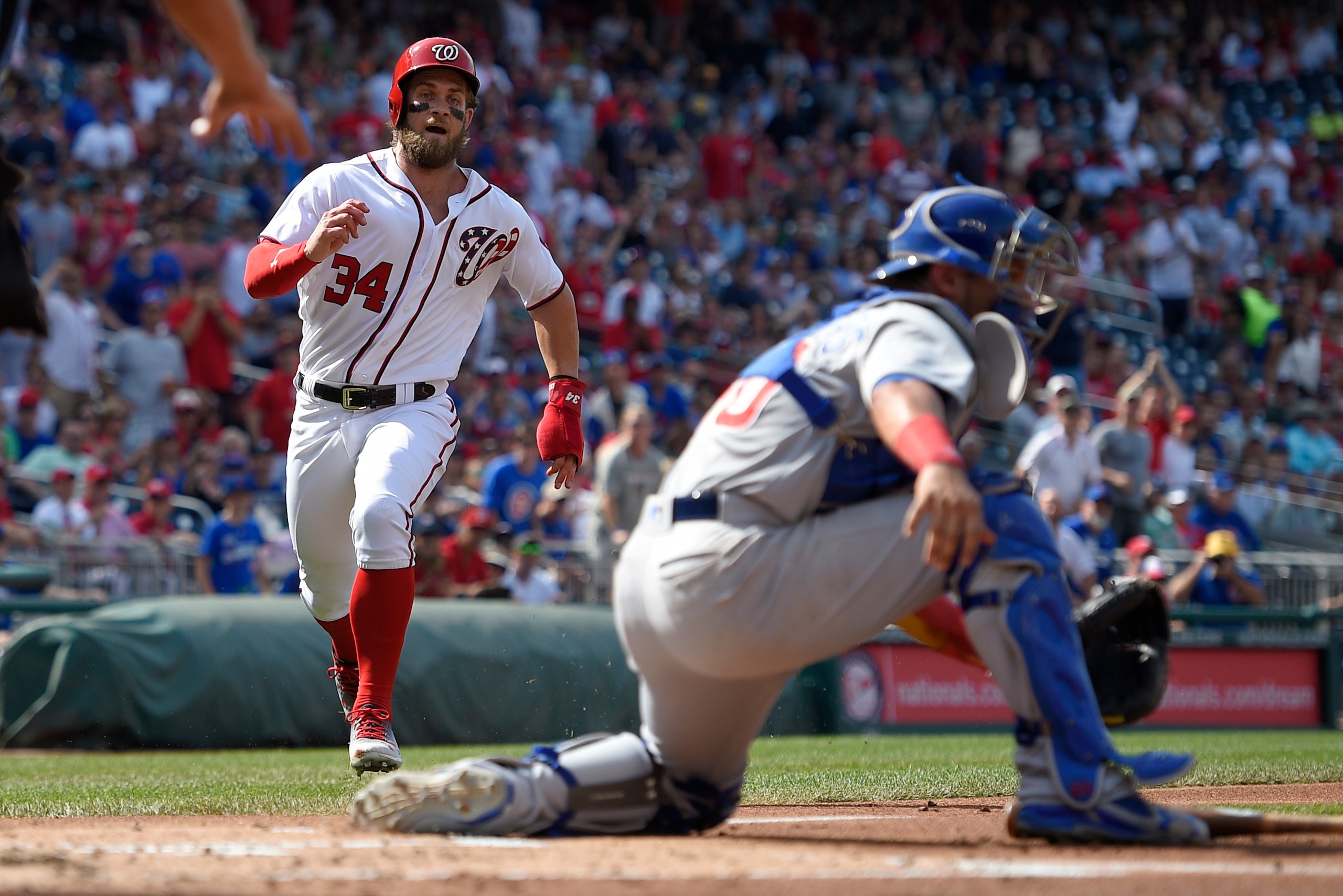 Bryce Harper Bryce Harper