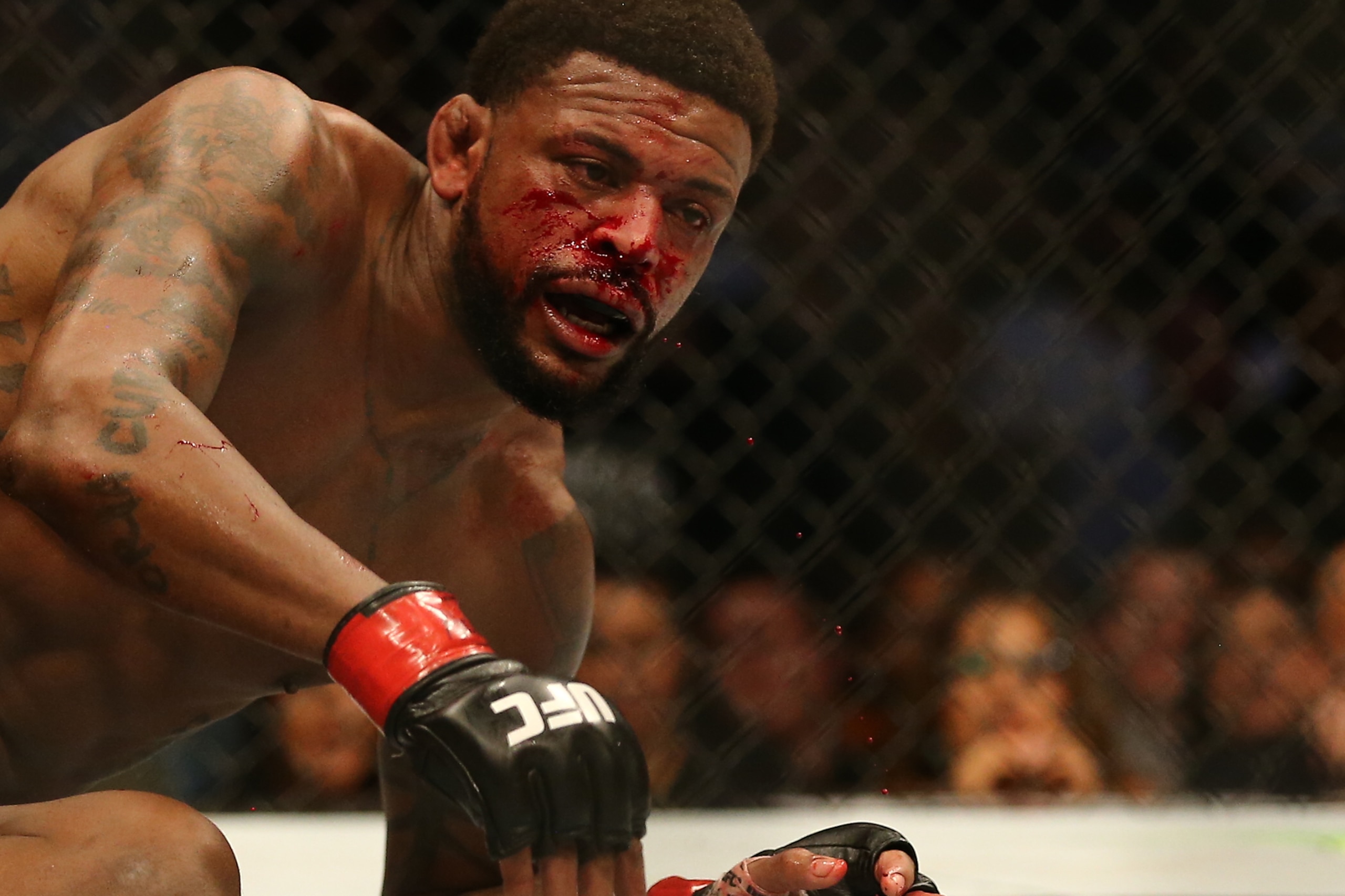 LAS VEGAS, NV - JULY 7: Michael Johnson looks to stand up during his bout against Justin Gaethje The Ultimate Fighter Finale event inside the T-Mobile Arena on July 7, 2017 in Las Vegas, Nevada. (Photo by Rey Del Rio/Getty Images) LAS VEGAS, NV - JULY 7: Michael Johnson looks to stand up during his bout against Justin Gaethje The Ultimate Fighter Finale event inside the T-Mobile Arena on July 7, 2017 in Las Vegas, Nevada. (Photo by Rey Del Rio/Getty Images)