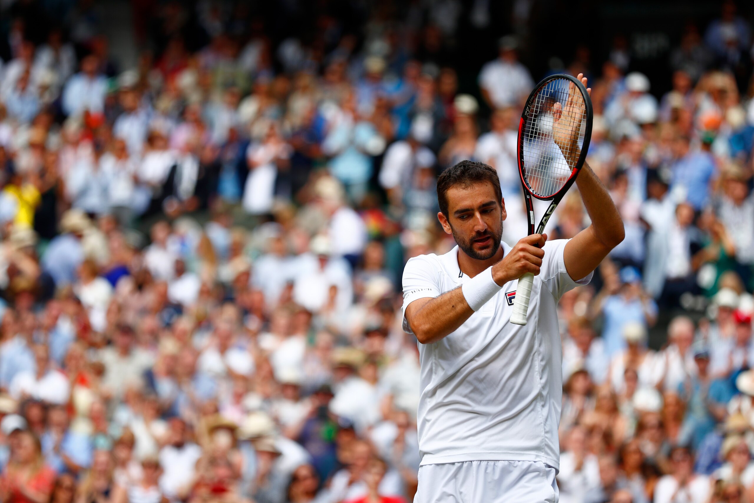 LONDON, ENGLAND - JULY 14:  Marin Cilic of Croatia celebrates victory after the Gentlemen's Singles semi final match against Sam Querrey of The United States on day eleven of the Wimbledon Lawn Tennis Championships at the All England Lawn Tennis and Croqu