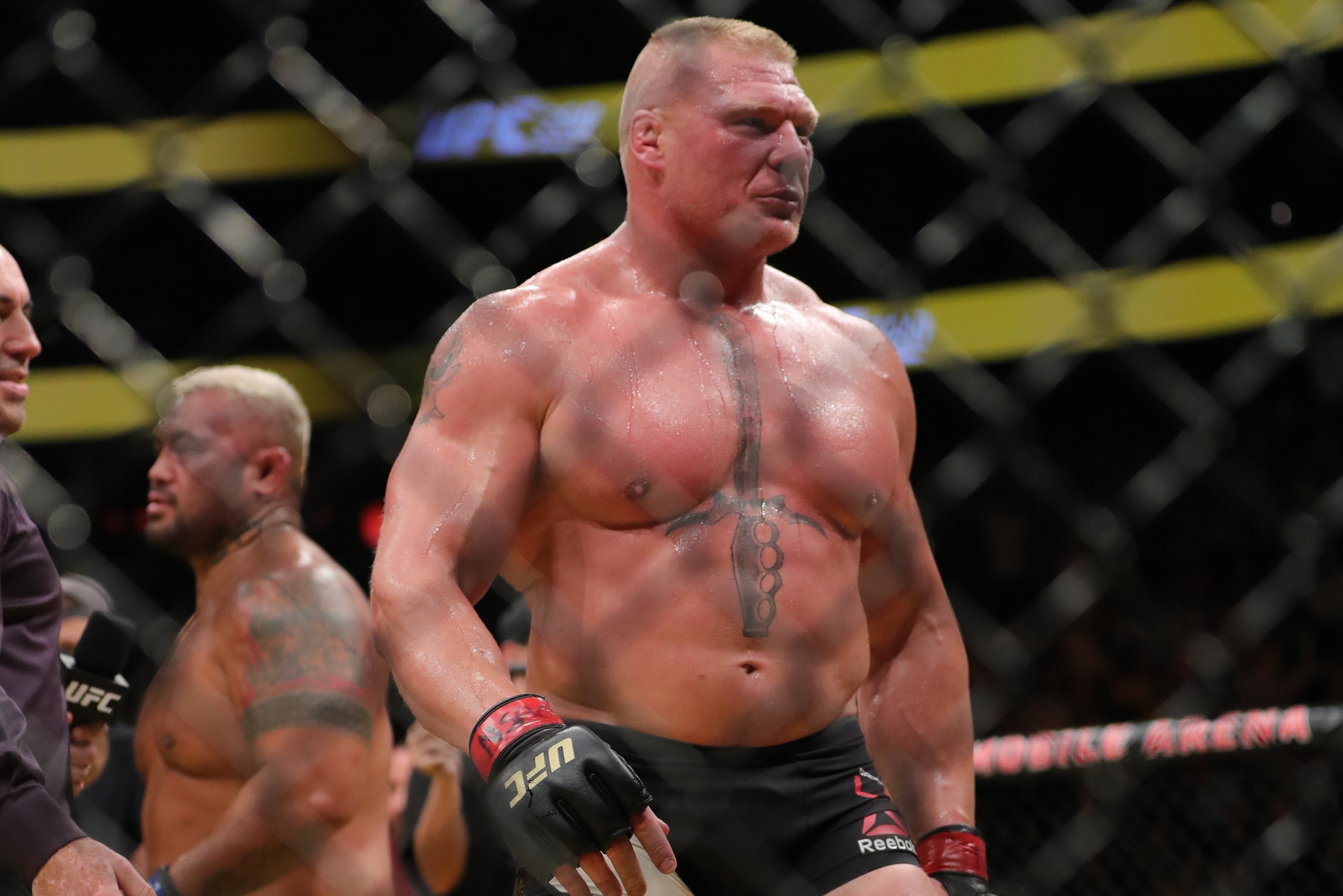 LAS VEGAS, NV - JULY 9: Brock Lesnar after his fight against Mark Hunt during the UFC 200 event at T-Mobile Arena on July 9, 2016 in Las Vegas, Nevada. (Photo by Rey Del Rio/Getty Images)