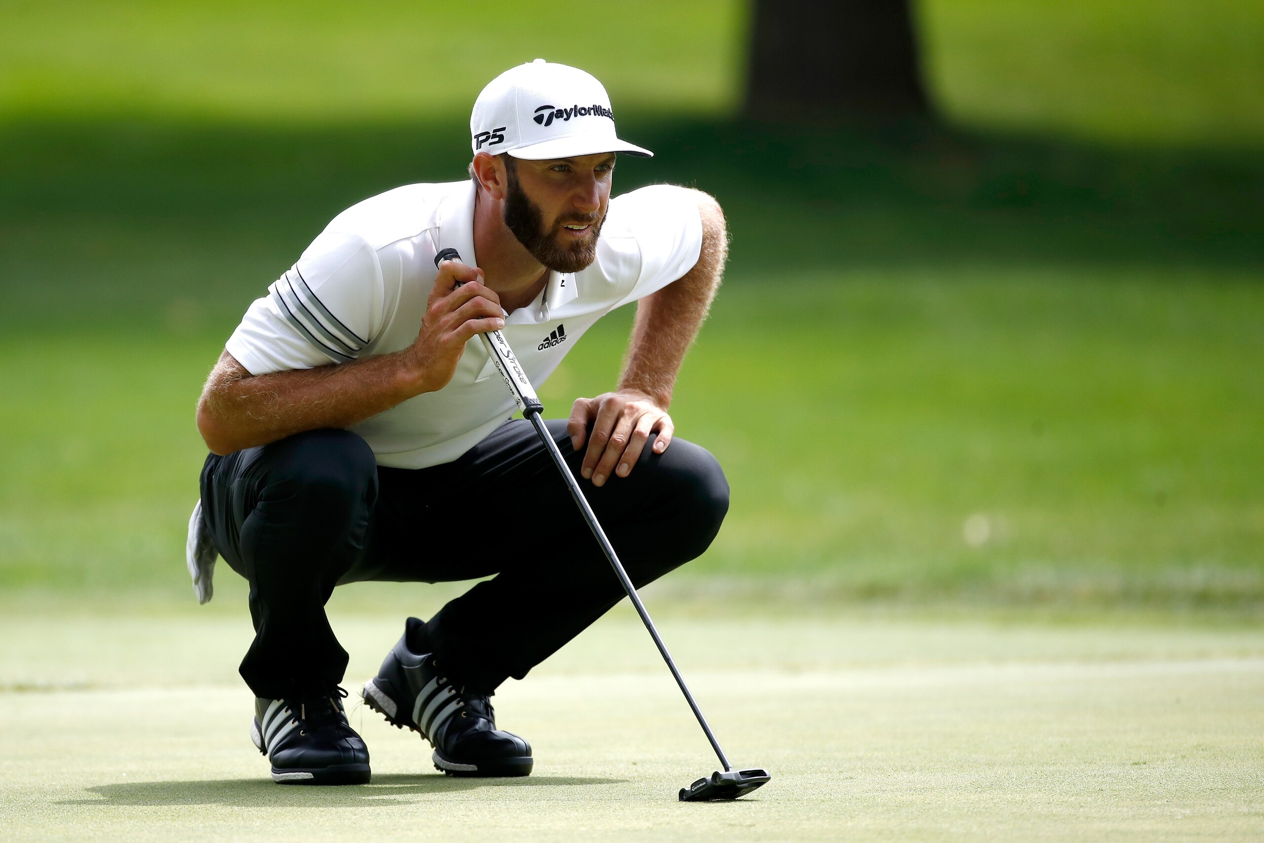 AKRON, OH - AUGUST 04:  Dustin Johnson lines up a putt on the sixth green during the second round of the World Golf Championships - Bridgestone Invitational at Firestone Country Club South Course on August 4, 2017 in Akron, Ohio.  (Photo by Gregory Shamus