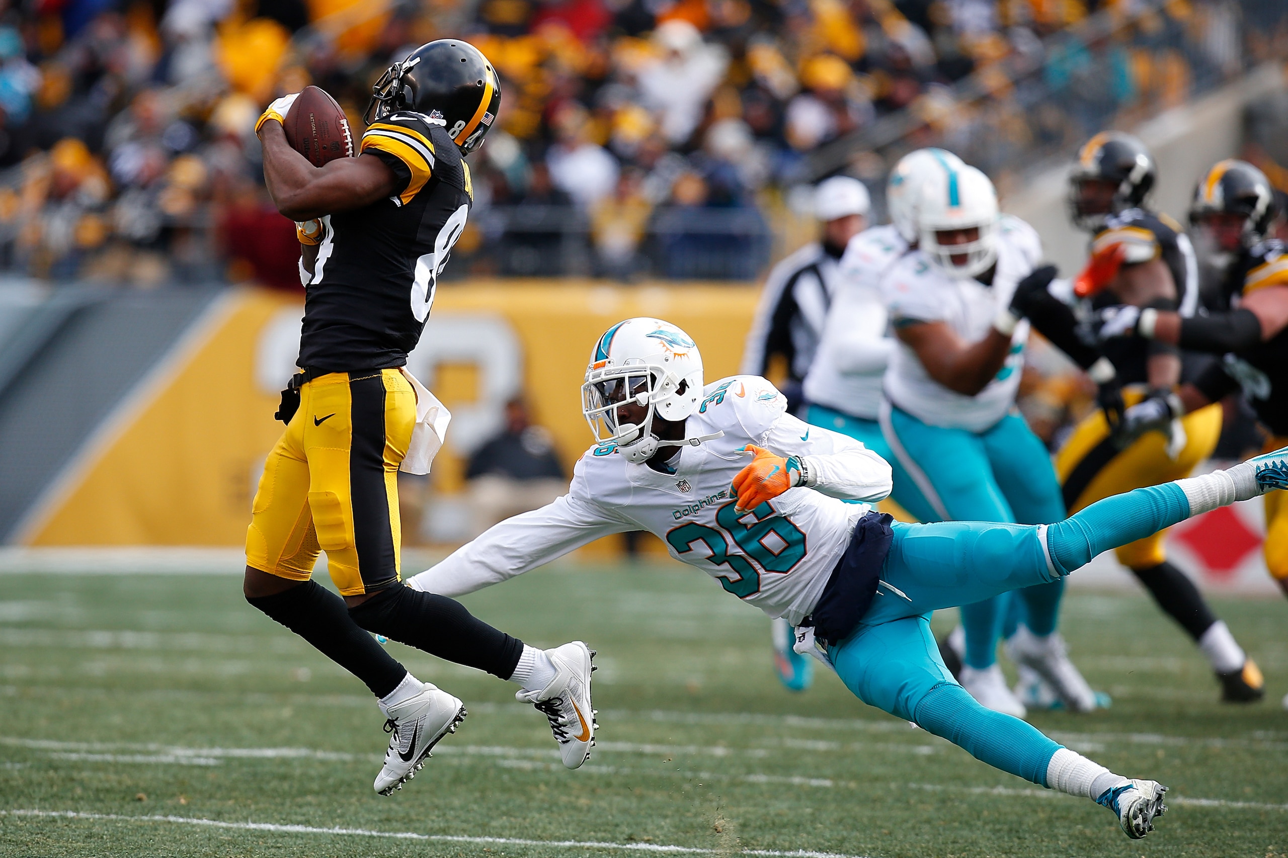 PITTSBURGH, PA - JANUARY 08:  Antonio Brown #84 of the Pittsburgh Steelers makes a catch in front of Tony Lippett #36 of the Miami Dolphins in the first quarter during the Wild Card Playoff game against the Miami Dolphins at Heinz Field on January 8, 2017