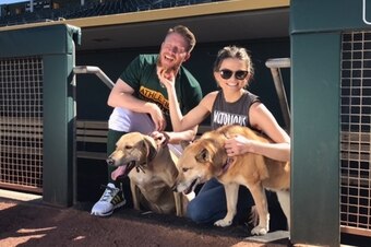When Sean Doolittle was pitching for the Athletics, his fiance, Eireann, found she handled the stress better by walking the couple's dogs rather than watching the game.