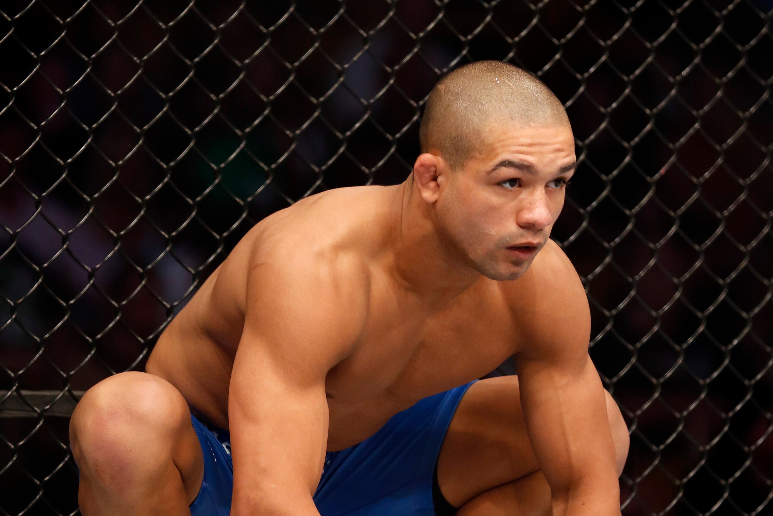 Diego Brandao