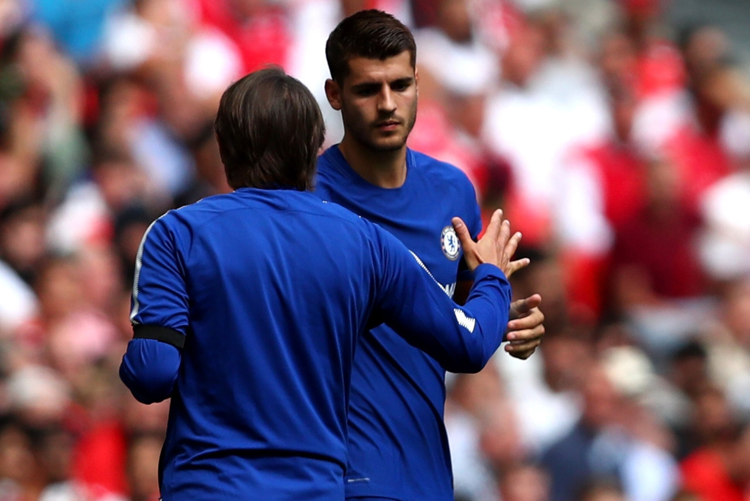 LONDON, ENGLAND - AUGUST 06: Antonio Conte, Manager of Chelsea and Alvaro Morata of Chelsea shake hands during the The FA Community Shield final between Chelsea and Arsenal at Wembley Stadium on August 6, 2017 in London, England.  (Photo by Dan Istitene/G