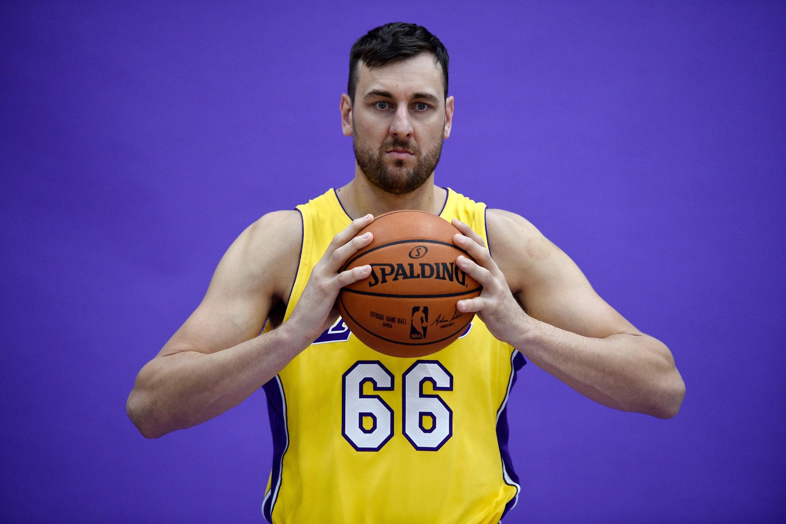 EL SEGUNDO, CA - SEPTEMBER 25: Andrew Bogut #66 of the Los Angeles Lakers poses during media day September 25, 2017, in El Segundo, California. NOTE TO USER: User expressly acknowledges and agrees that, by downloading and/or using this photograph, user is