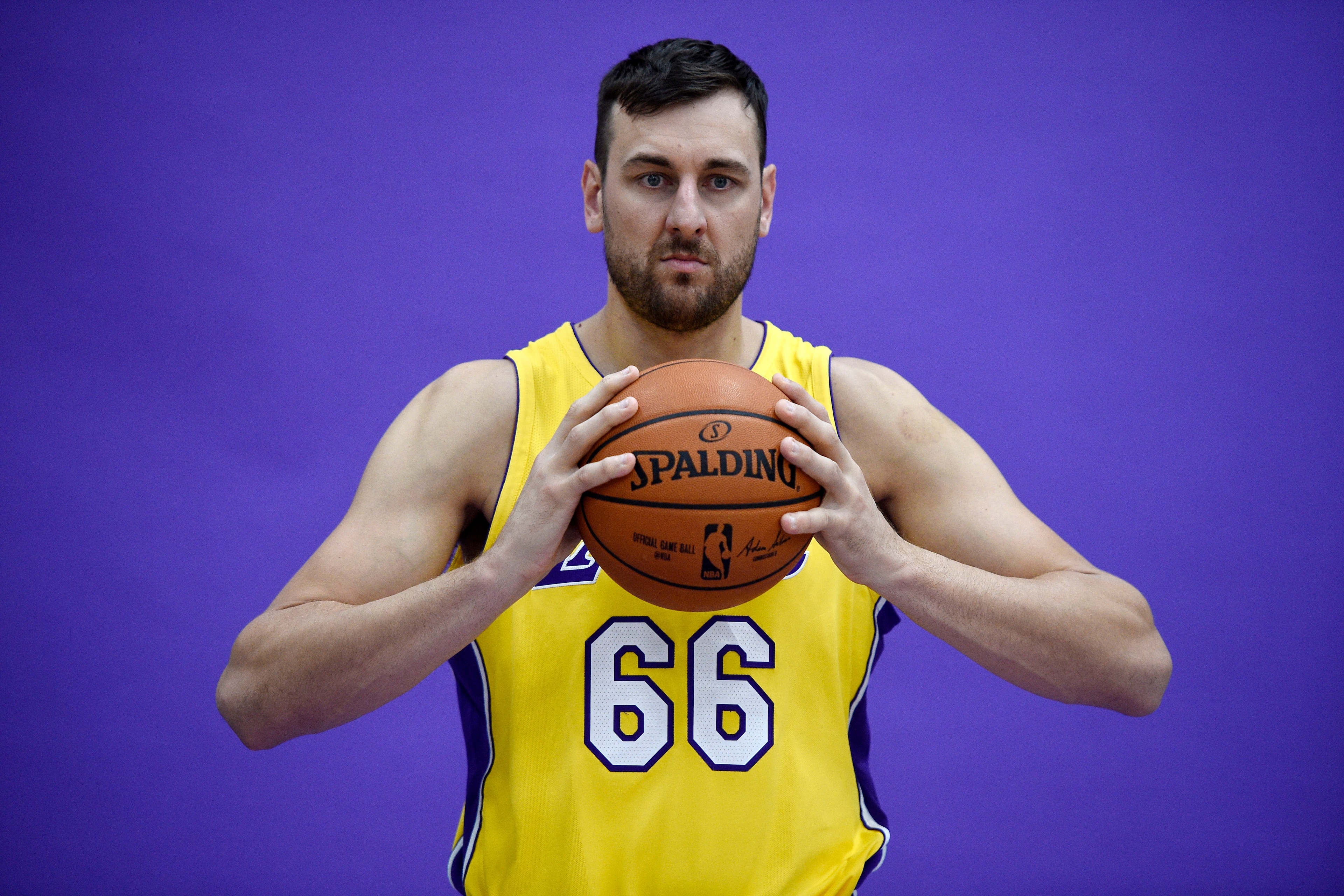 EL SEGUNDO, CA - SEPTEMBER 25: Andrew Bogut #66 of the Los Angeles Lakers poses during media day September 25, 2017, in El Segundo, California. NOTE TO USER: User expressly acknowledges and agrees that, by downloading and/or using this photograph, user is