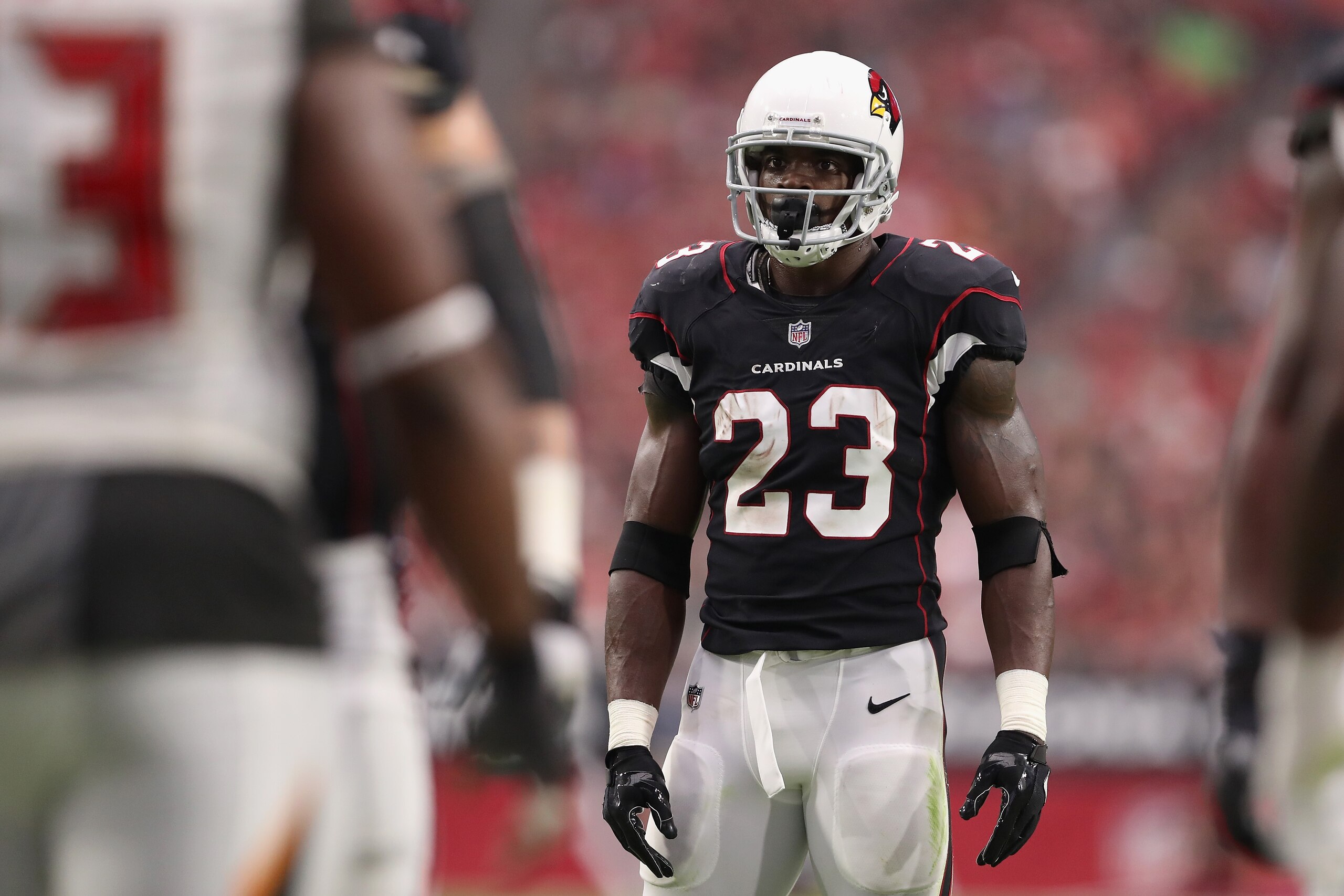 GLENDALE, AZ - OCTOBER 15:  Running back Adrian Peterson #23 of the Arizona Cardinals steps up to the line of scrimmage during the first half of the NFL game against the Tampa Bay Buccaneers at the University of Phoenix Stadium on October 15, 2017 in Glen