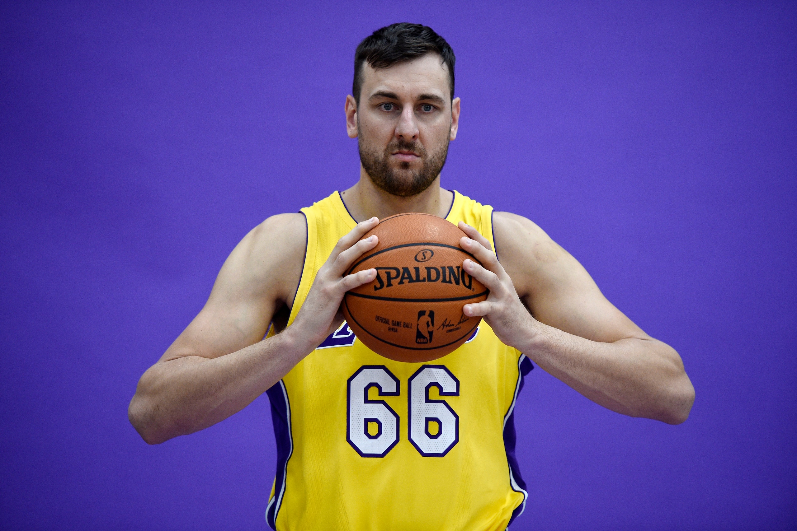 EL SEGUNDO, CA - SEPTEMBER 25: Andrew Bogut #66 of the Los Angeles Lakers poses during media day September 25, 2017, in El Segundo, California. NOTE TO USER: User expressly acknowledges and agrees that, by downloading and/or using this photograph, user is