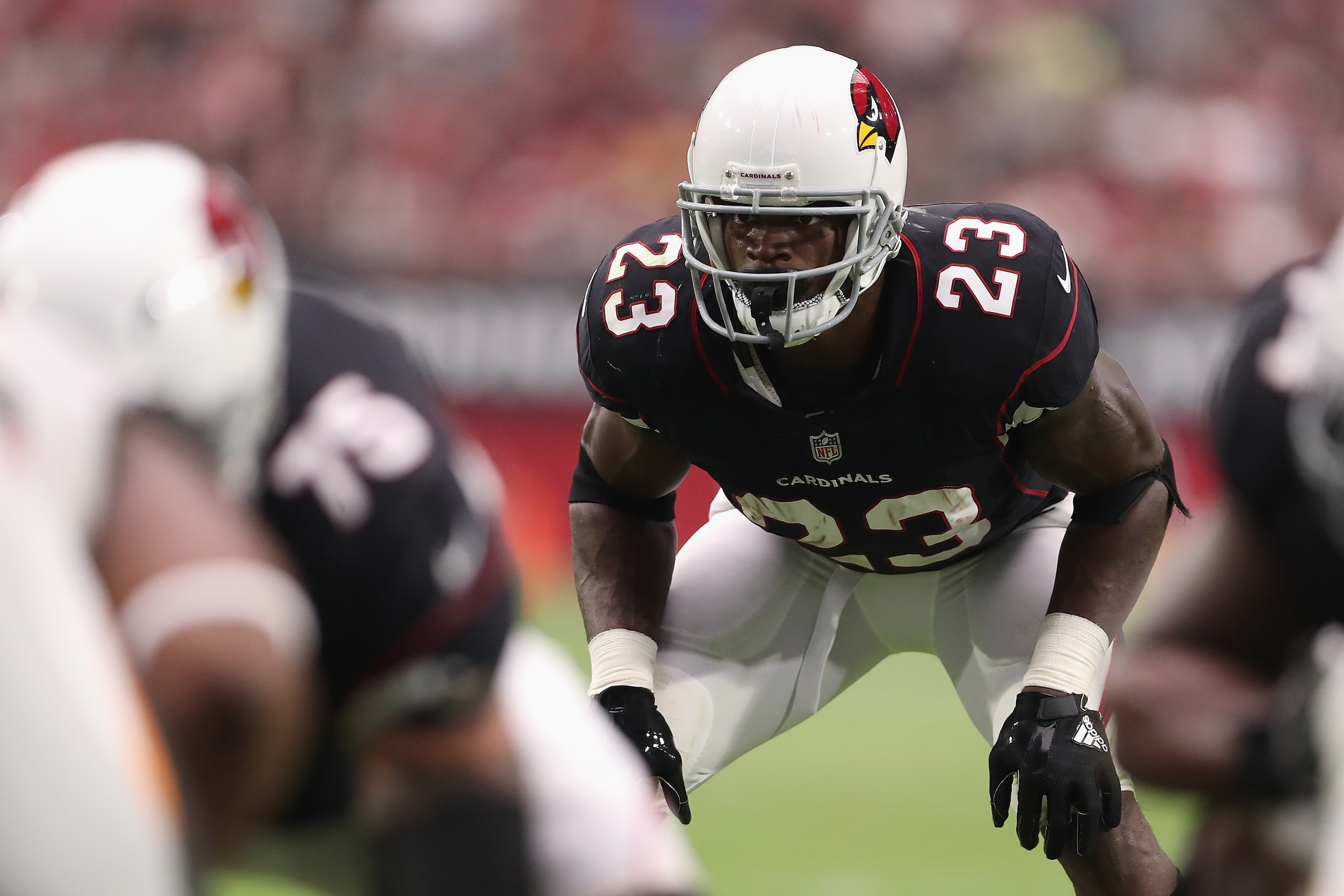 GLENDALE, AZ - OCTOBER 15:  Running back Adrian Peterson #23 of the Arizona Cardinals steps up to the line of scrimmage during the first half of the NFL game against the Tampa Bay Buccaneers at the University of Phoenix Stadium on October 15, 2017 in Glen