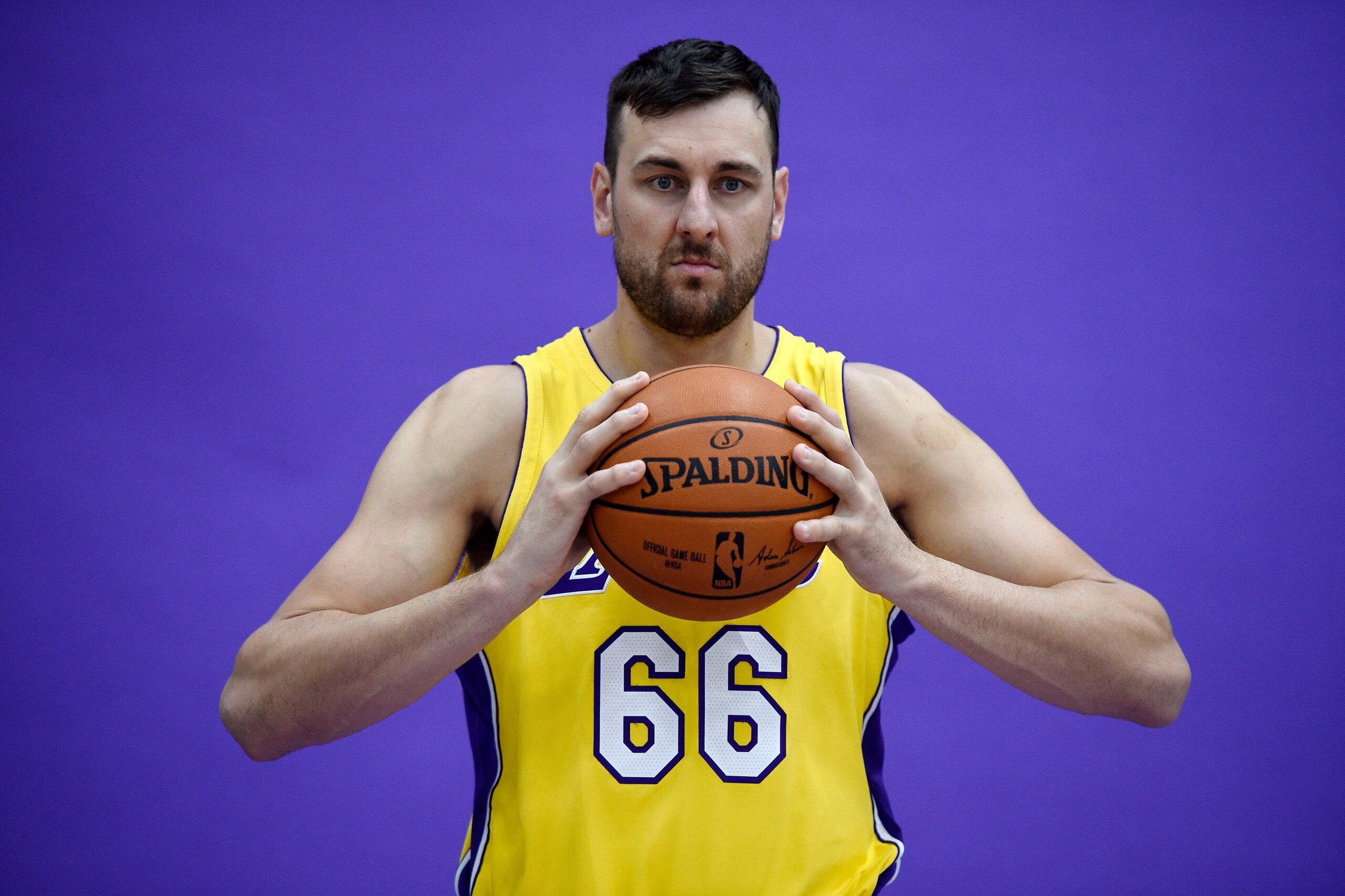 EL SEGUNDO, CA - SEPTEMBER 25: Andrew Bogut #66 of the Los Angeles Lakers poses during media day September 25, 2017, in El Segundo, California. NOTE TO USER: User expressly acknowledges and agrees that, by downloading and/or using this photograph, user is
