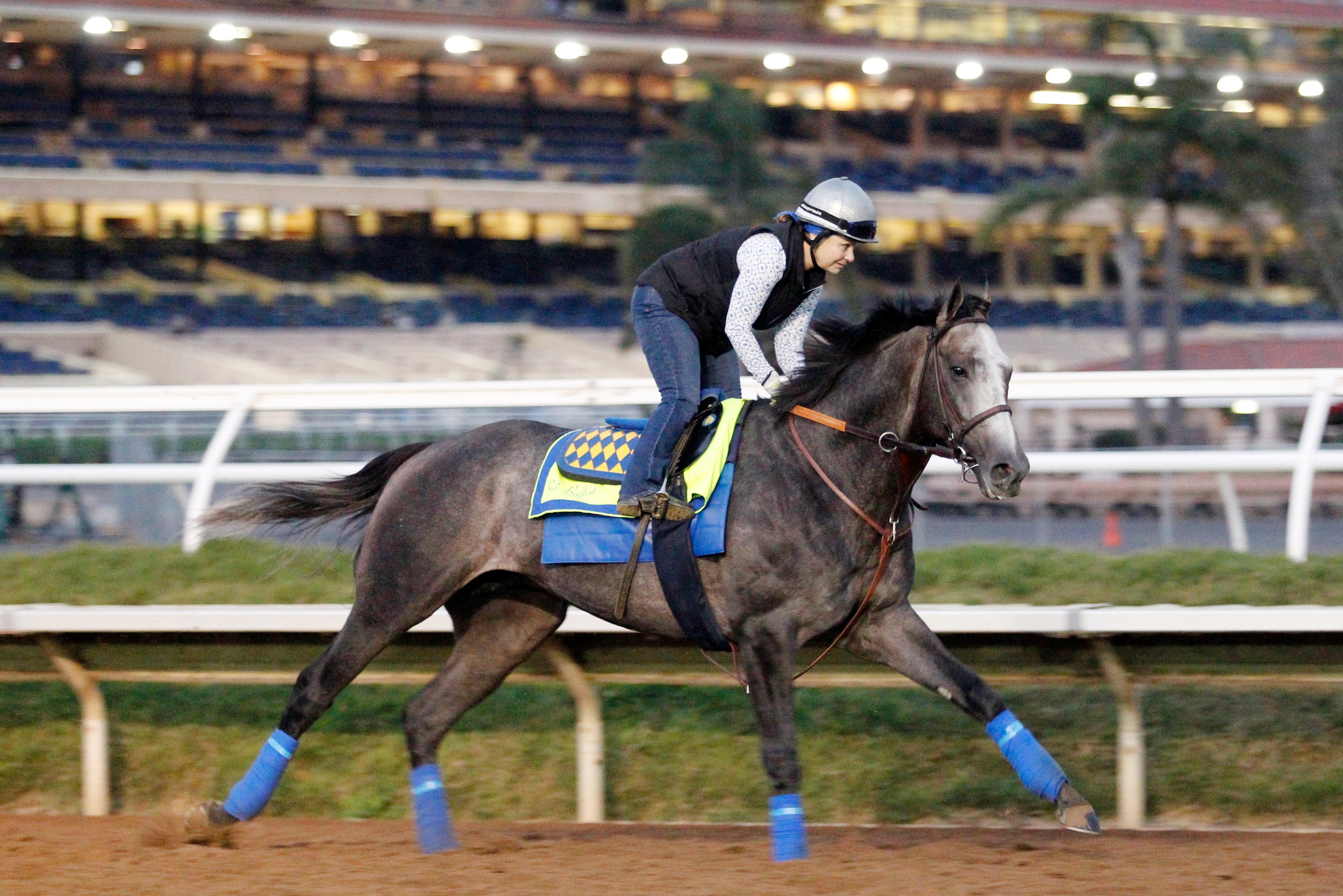 DEL MAR, CA NOVEMBER 2: Arrogate on track in preparation for the Breeders' Cup at Del Mar Race Track on November 2, 2017 in Del Mar, California (Photo by Horsephotos/Getty Images)