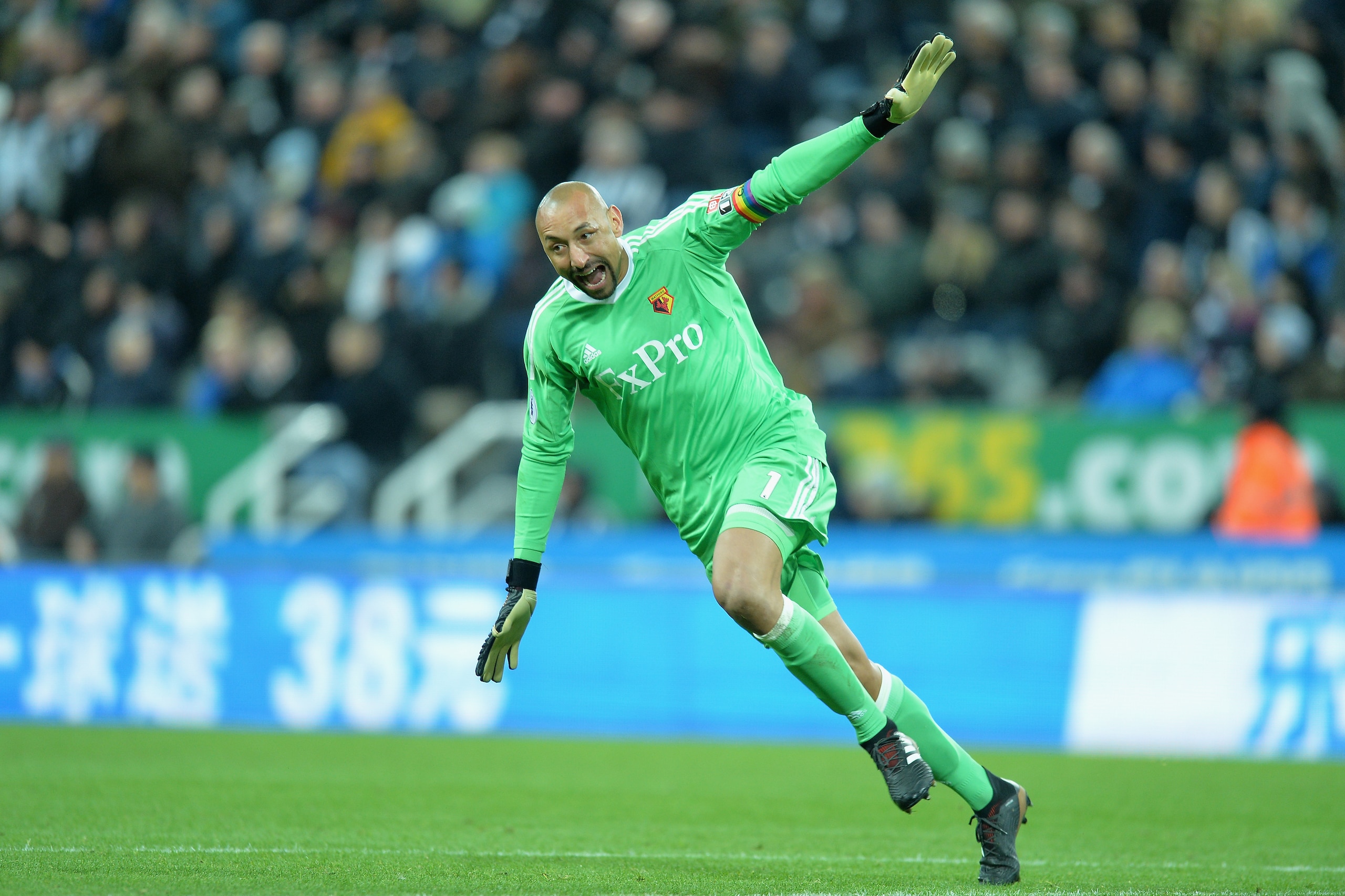 NEWCASTLE UPON TYNE, ENGLAND - NOVEMBER 25: Heurelho Gomes of Watford celebrates his side's third goal during the Premier League match between Newcastle United and Watford at St. James Park on November 25, 2017 in Newcastle upon Tyne, England. (Photo by NEWCASTLE UPON TYNE, ENGLAND - NOVEMBER 25: Heurelho Gomes of Watford celebrates his side's third goal during the Premier League match between Newcastle United and Watford at St. James Park on November 25, 2017 in Newcastle upon Tyne, England. (Photo by