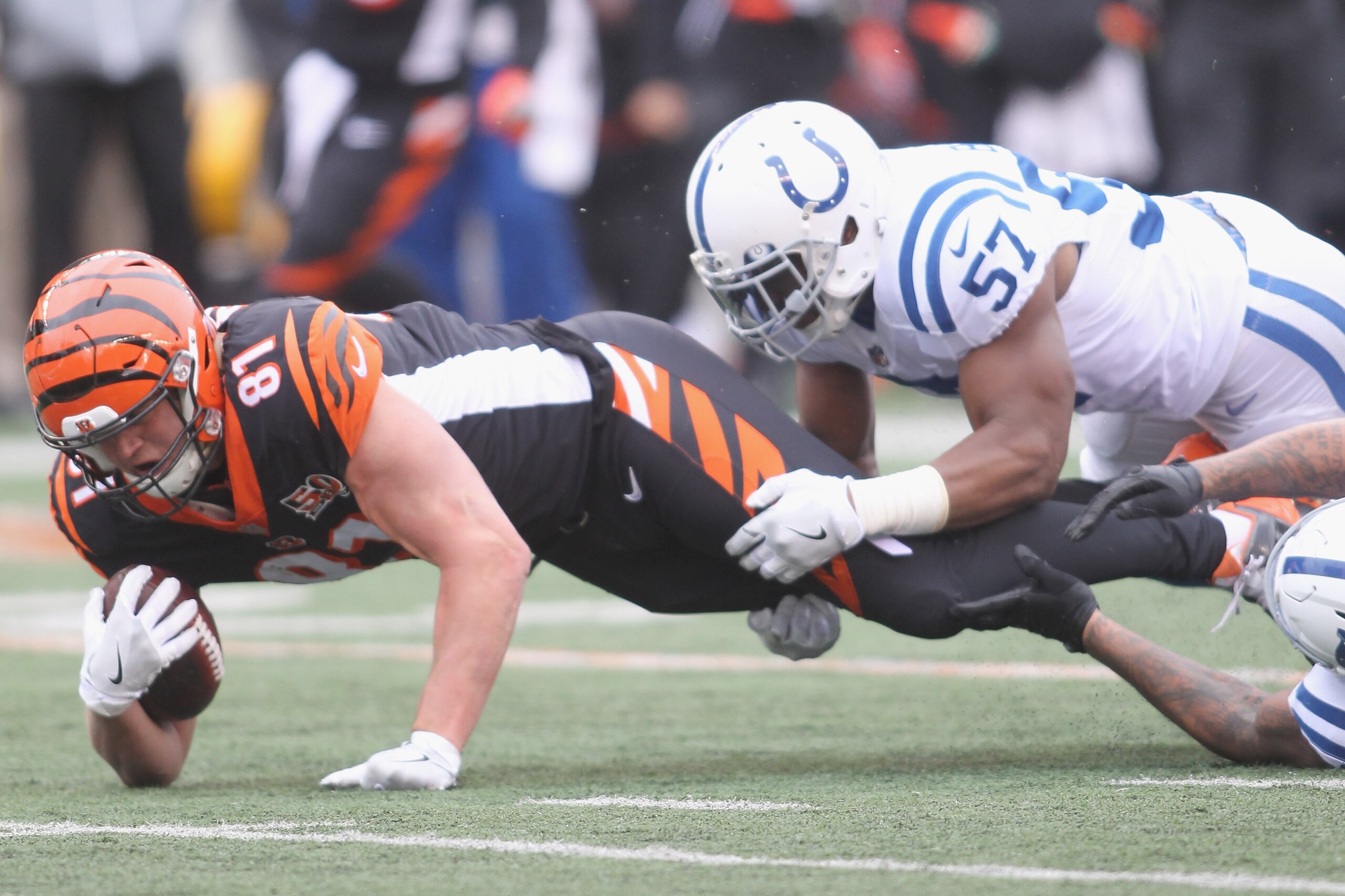CINCINNATI, OH - OCTOBER 29:  Tyler Kroft #81 of the Cincinnati Bengals runs the football upfield against Jon Bostic #57 of the Indianapolis Colts during their game at Paul Brown Stadium on October 29, 2017 in Cincinnati, Ohio.  The Bengals defeated the C