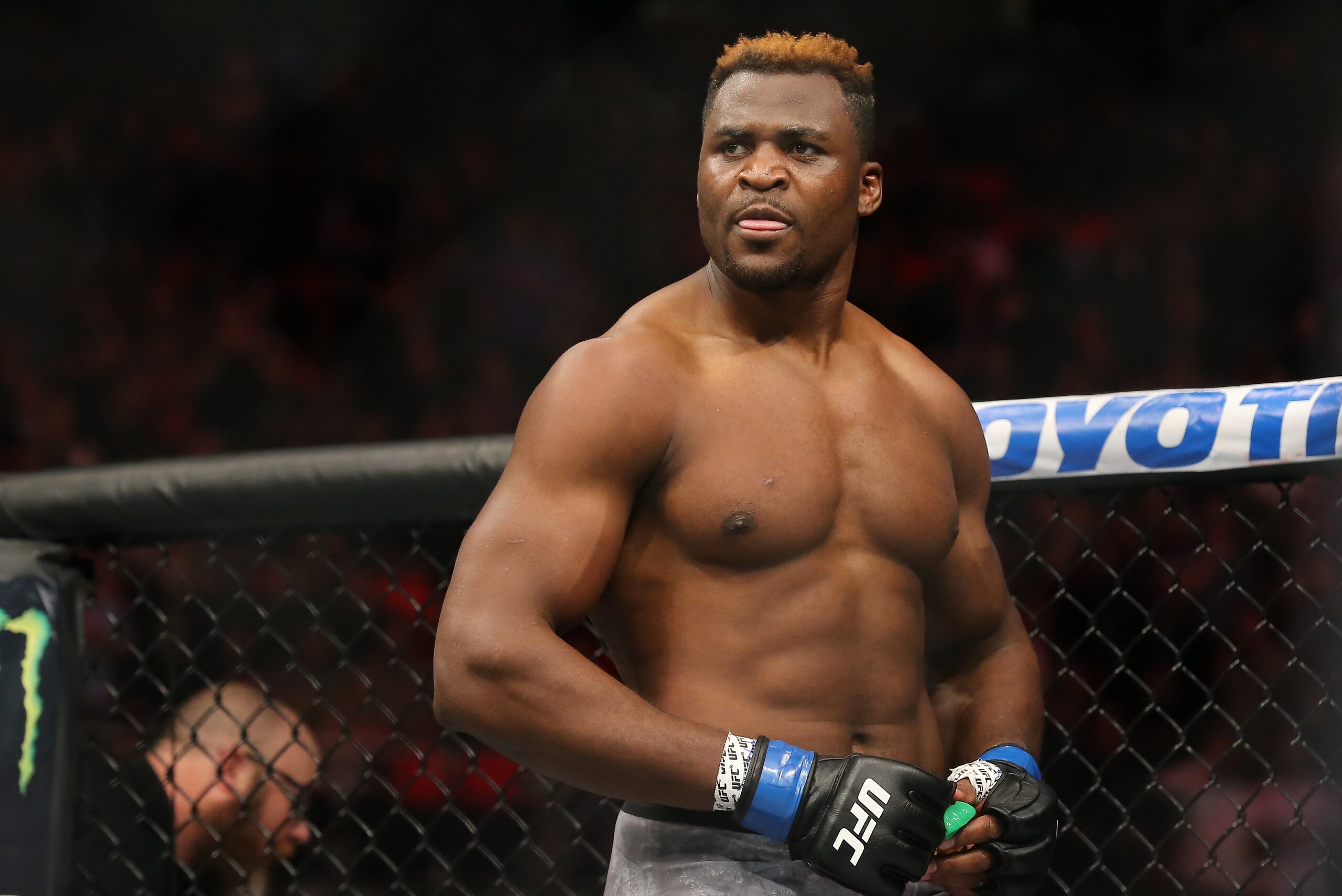 DETROIT, MI - DECEMBER 2:  Francis Ngannou celebrates  after his bout against Alistair Overeem during the UFC 218 event at Little Caesars Arena on December 2, 2017 in Detroit, Michigan. (Photo by Rey Del Rio/Zuffa LLC via Getty Images)