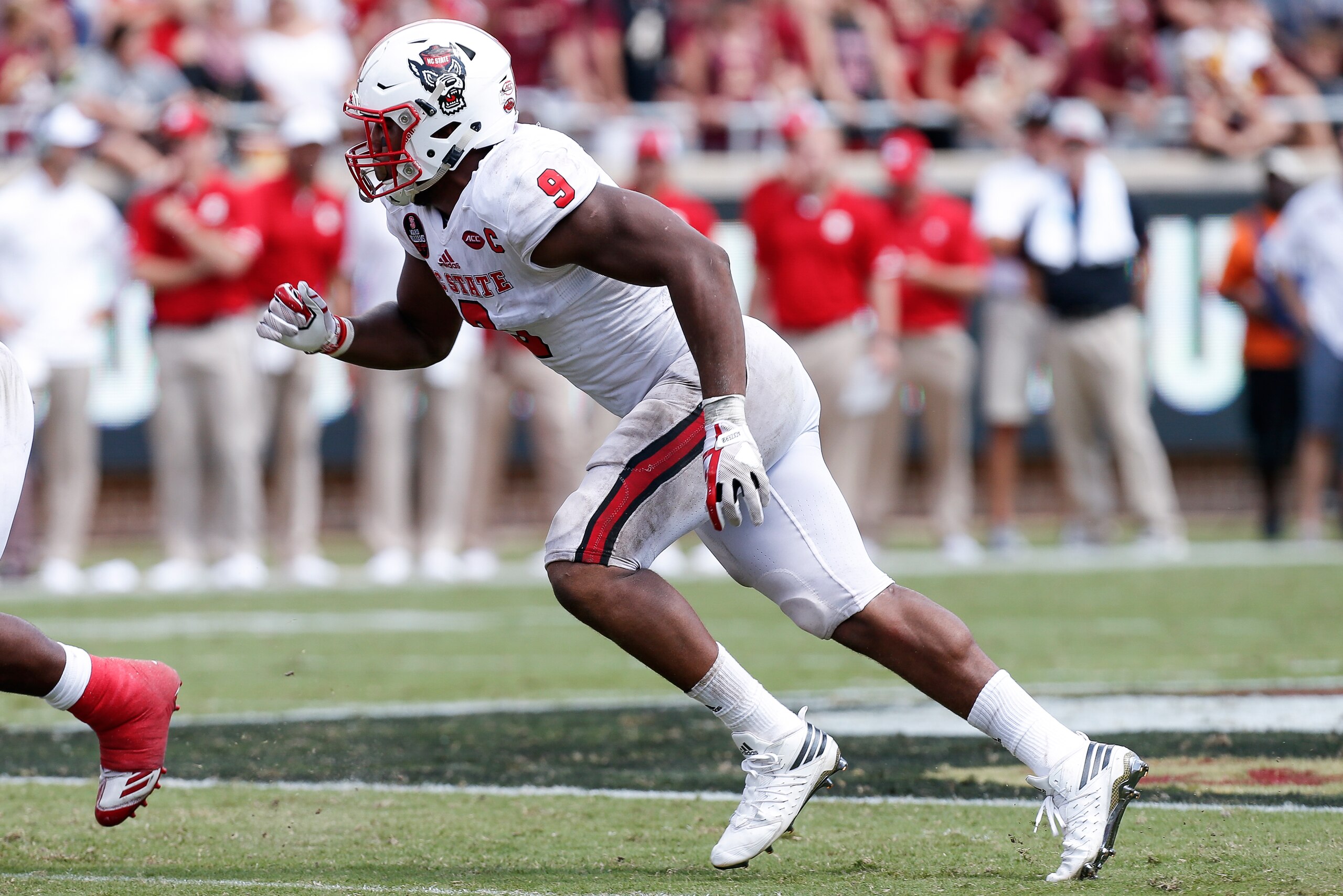 TALLAHASSEE, FL - SEPTEMBER 23: Defensive End Bradley Chubb #9 of the North Carolina State Wolfpack during the game against the Florida State Seminoles at Doak Campbell Stadium on Bobby Bowden Field on September 23, 2017 in Tallahassee, Florida. NC State 