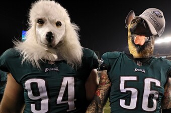 PHILADELPHIA, PA - JANUARY 21: Beau Allen #94 and Chris Long #56 of the Philadelphia Eagles celebrates their teams win while wearing a dog masks over the Minnesota Vikings in the NFC Championship game at Lincoln Financial Field on January 21, 2018 in Phil