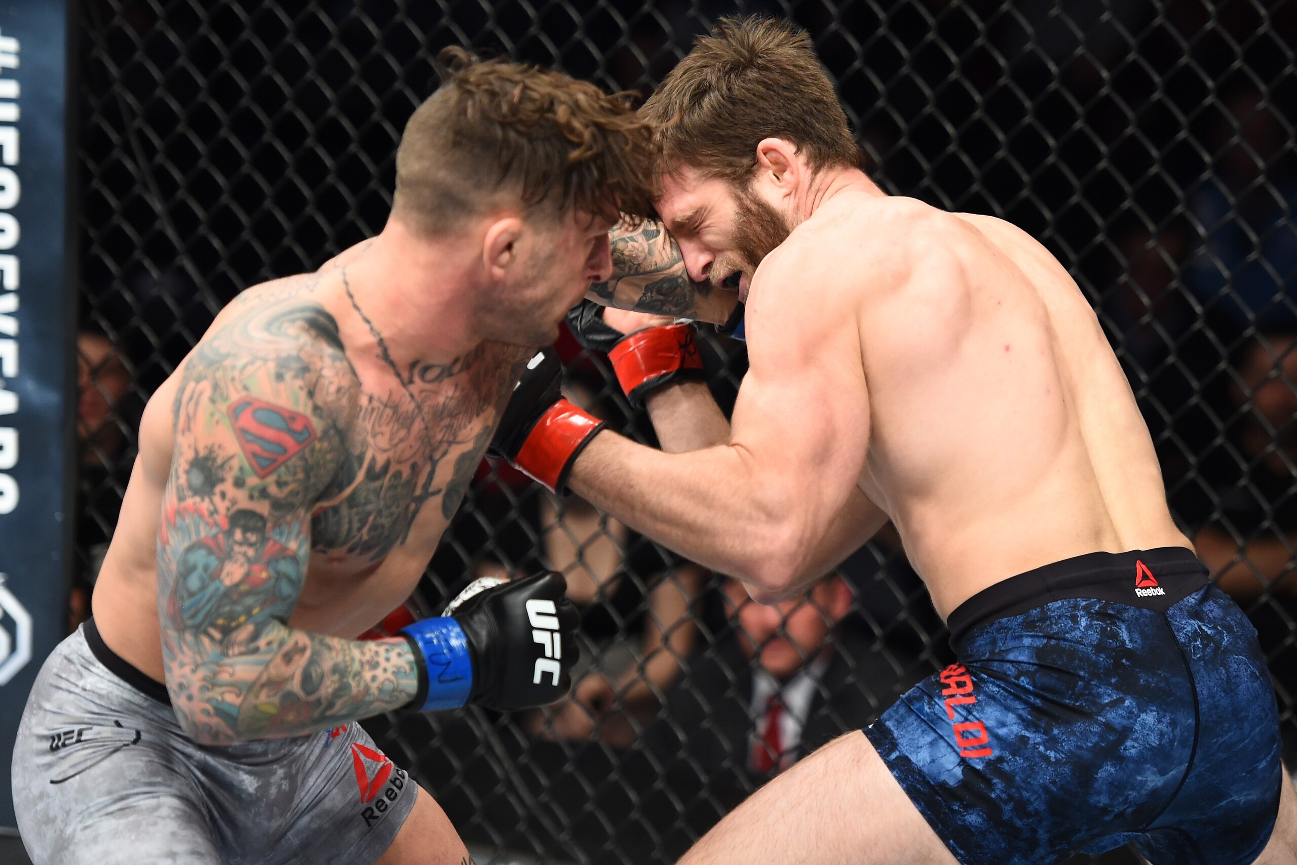 CHARLOTTE, NC - JANUARY 27:   (L-R) Gregor Gillespie punches Jordan Rinaldi in their lightweight bout during a UFC Fight Night event at Spectrum Center on January 27, 2018 in Charlotte, North Carolina. (Photo by Josh Hedges/Zuffa LLC/Zuffa LLC via Getty I