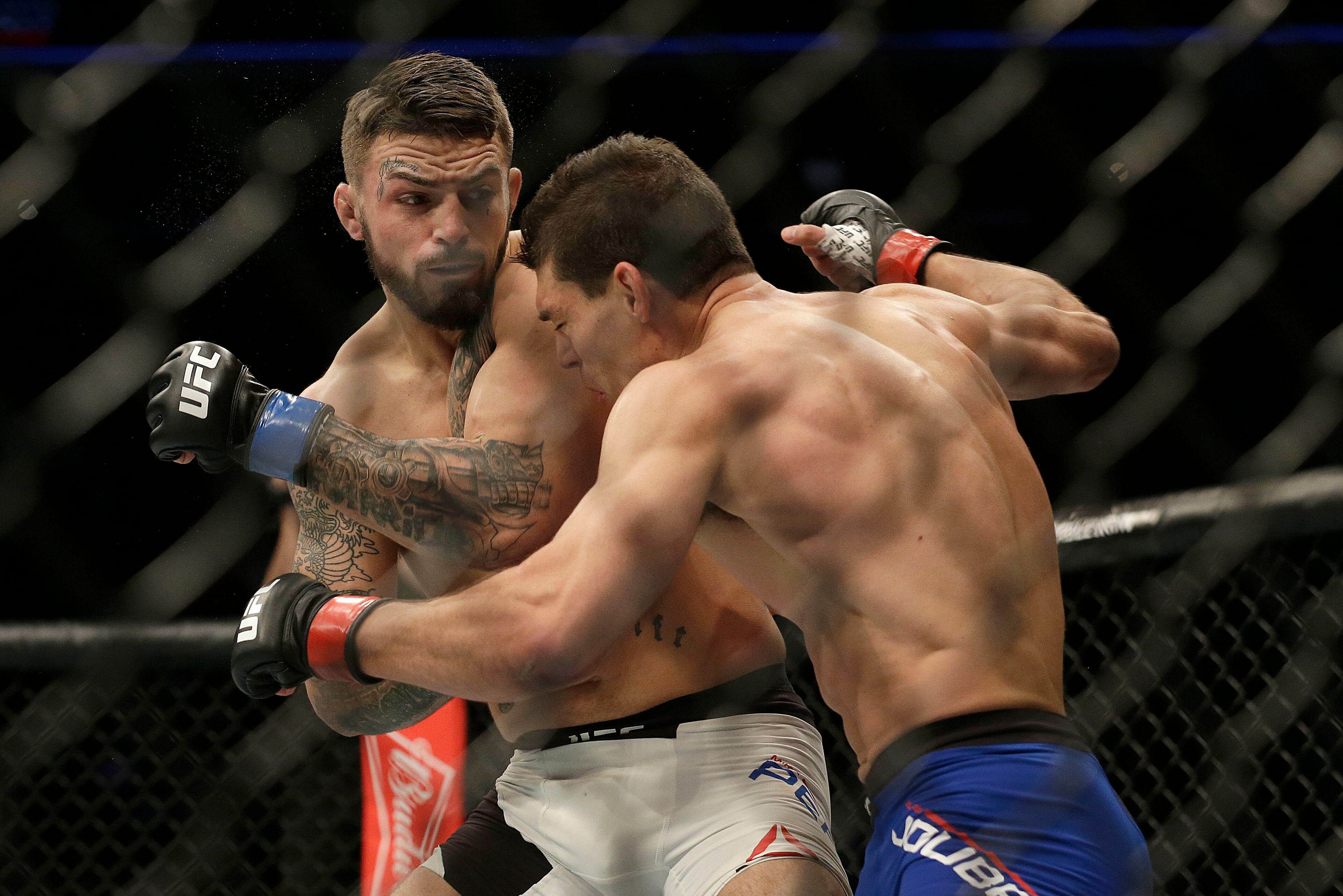 Mike Perry