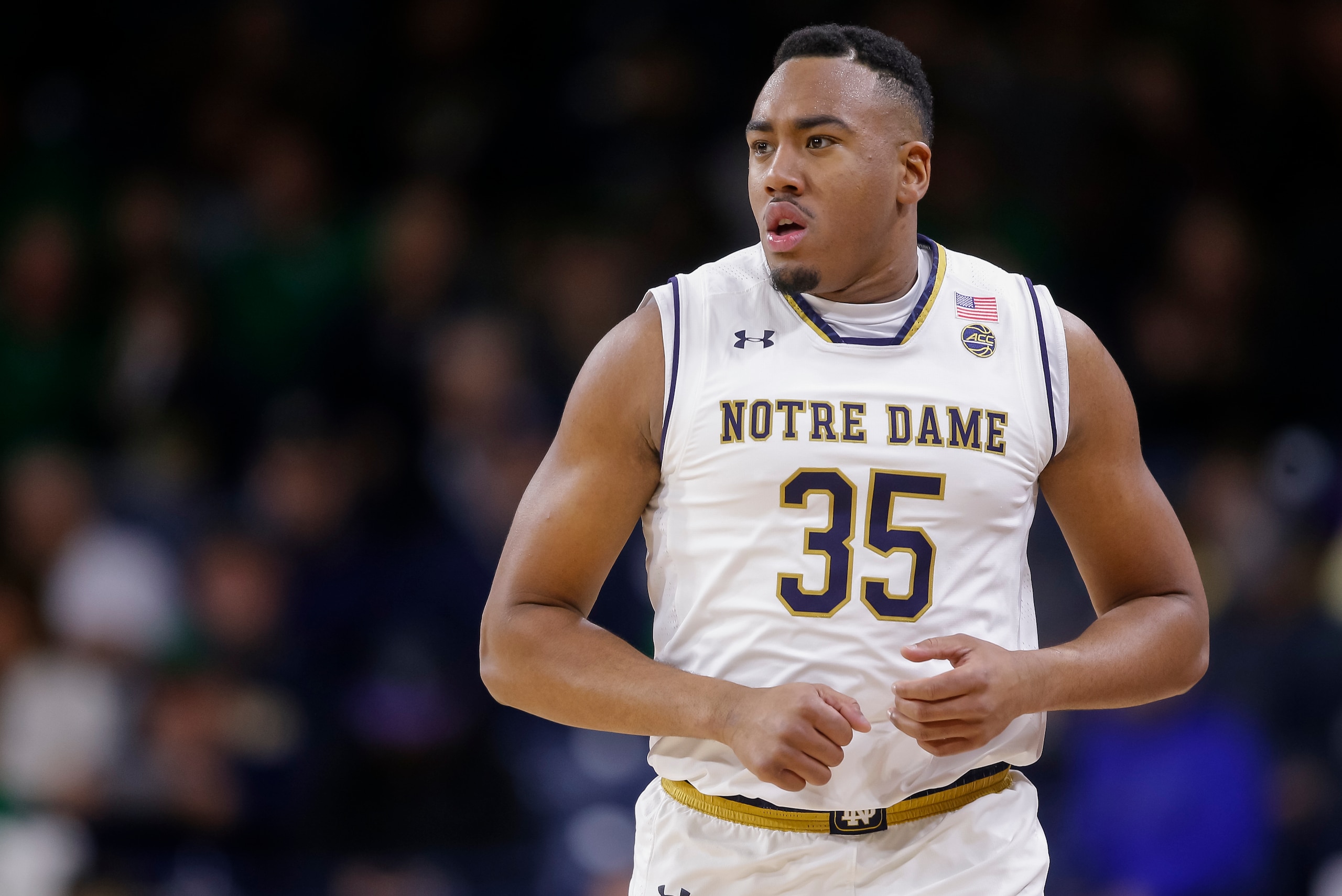 SOUTH BEND, IN - FEBRUARY 28: Bonzie Colson #35 of the Notre Dame Fighting Irish is seen during the game against the Pittsburgh Panthers at Purcell Pavilion on February 28, 2018 in South Bend, Indiana. (Photo by Michael Hickey/Getty Images)