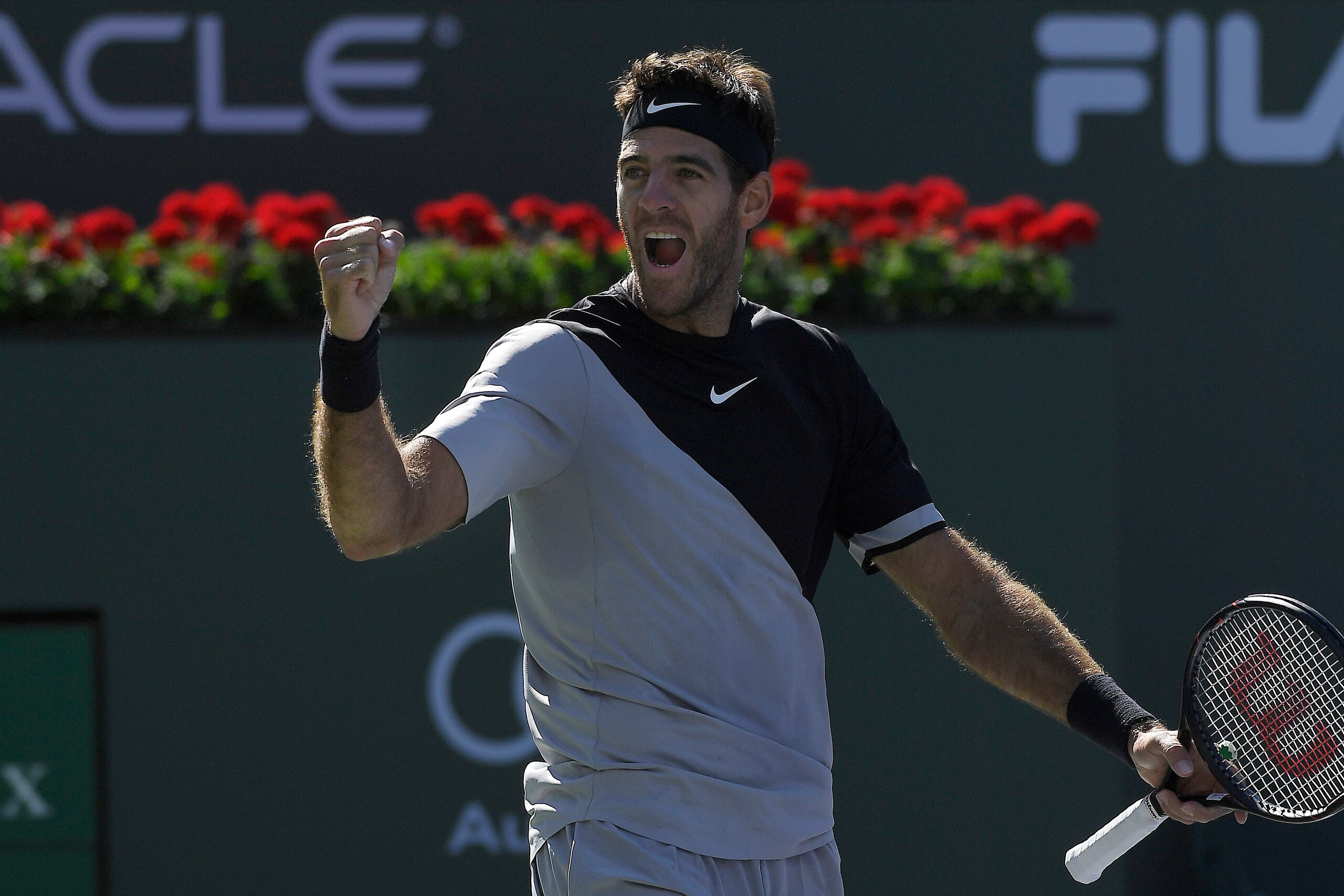 Juan Martin del Potro cruised into the championship match.
