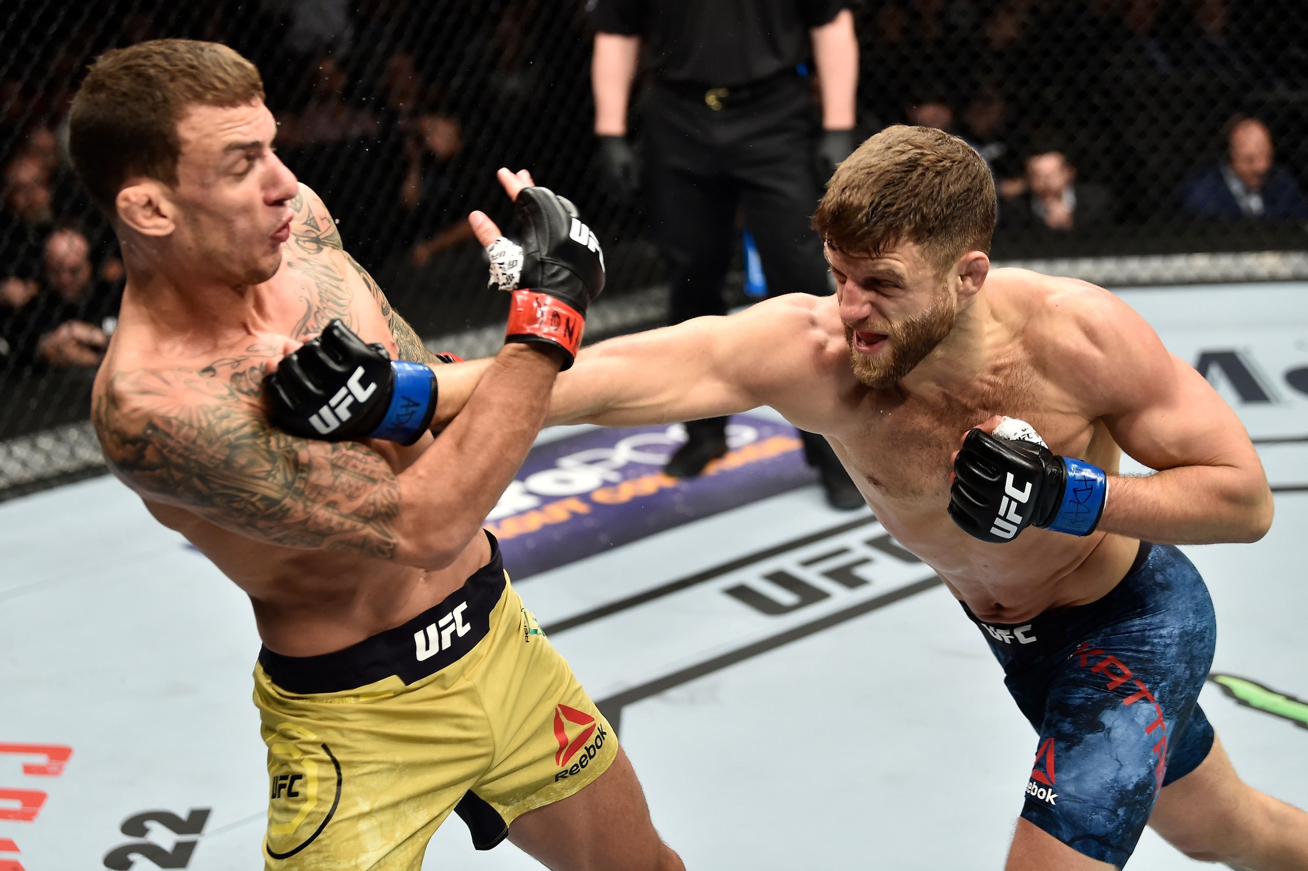 BROOKLYN, NEW YORK - APRIL 07: (R-L) Calvin Kattar punches Renato Moicano of Brazil in their featherweight bout during the UFC 223 event inside Barclays Center on April 7, 2018 in Brooklyn, New York. (Photo by Jeff Bottari/Zuffa LLC/Zuffa LLC via Getty I BROOKLYN, NEW YORK - APRIL 07: (R-L) Calvin Kattar punches Renato Moicano of Brazil in their featherweight bout during the UFC 223 event inside Barclays Center on April 7, 2018 in Brooklyn, New York. (Photo by Jeff Bottari/Zuffa LLC/Zuffa LLC via Getty I