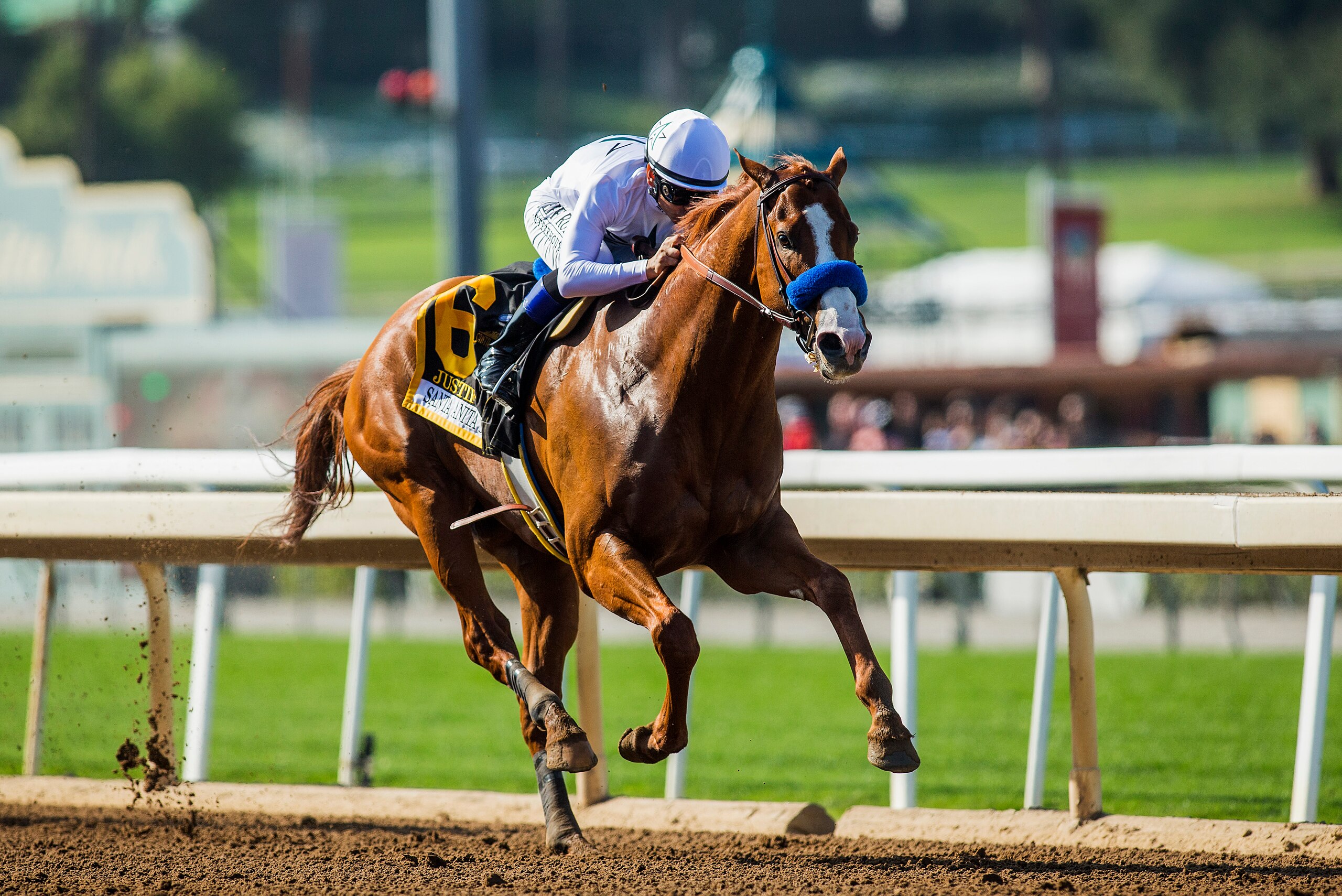 ARCADIA, CA - APRIL 07:  Mike Smith guides Justify #6 to a victory in the Santa Anita Derby at Santa Anita Park on April 07, 2018 in Arcadia, California.(Photo by Alex Evers/Eclipse Sportswire/Getty Images)