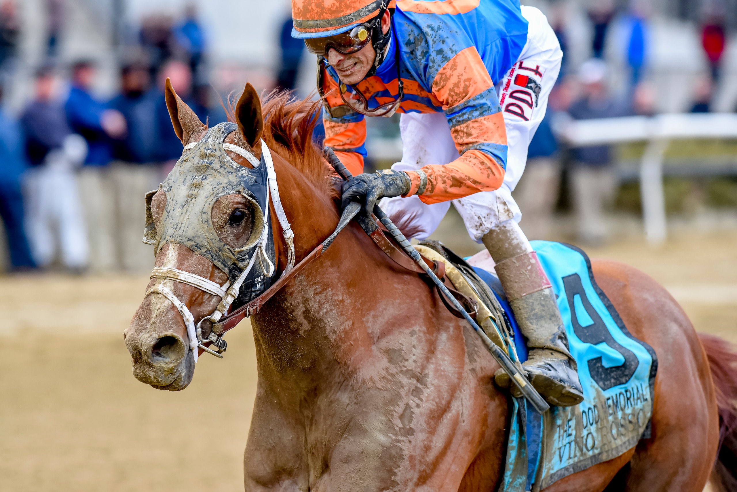 OZONE PARK, NY - APRIL 07: Vino Rosso (KY) #9, ridden by jockey John Velazquez, wins the Wood Memorial Stakes on Wood Memorial Stakes Day at Aqueduct Race Track on April 7, 2018 in Ozone Park, New York. (Photo by Scott Serio/Eclipse Sportswire/Getty Image