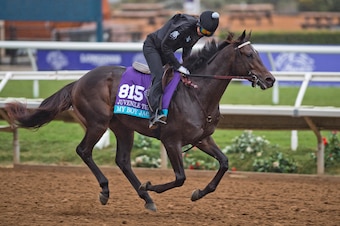 DEL MAR, CA - OCTOBER 31: My Boy Jack, owned by Don't Tell My Wife Stables & Monomoy Stables LLC and trained by J. Keith Desormeaux, exercises in preparation for Breeders' Cup Juvenile Turf at Del Mar Thoroughbred Club on October 31, 2017 in Del Mar, Cali