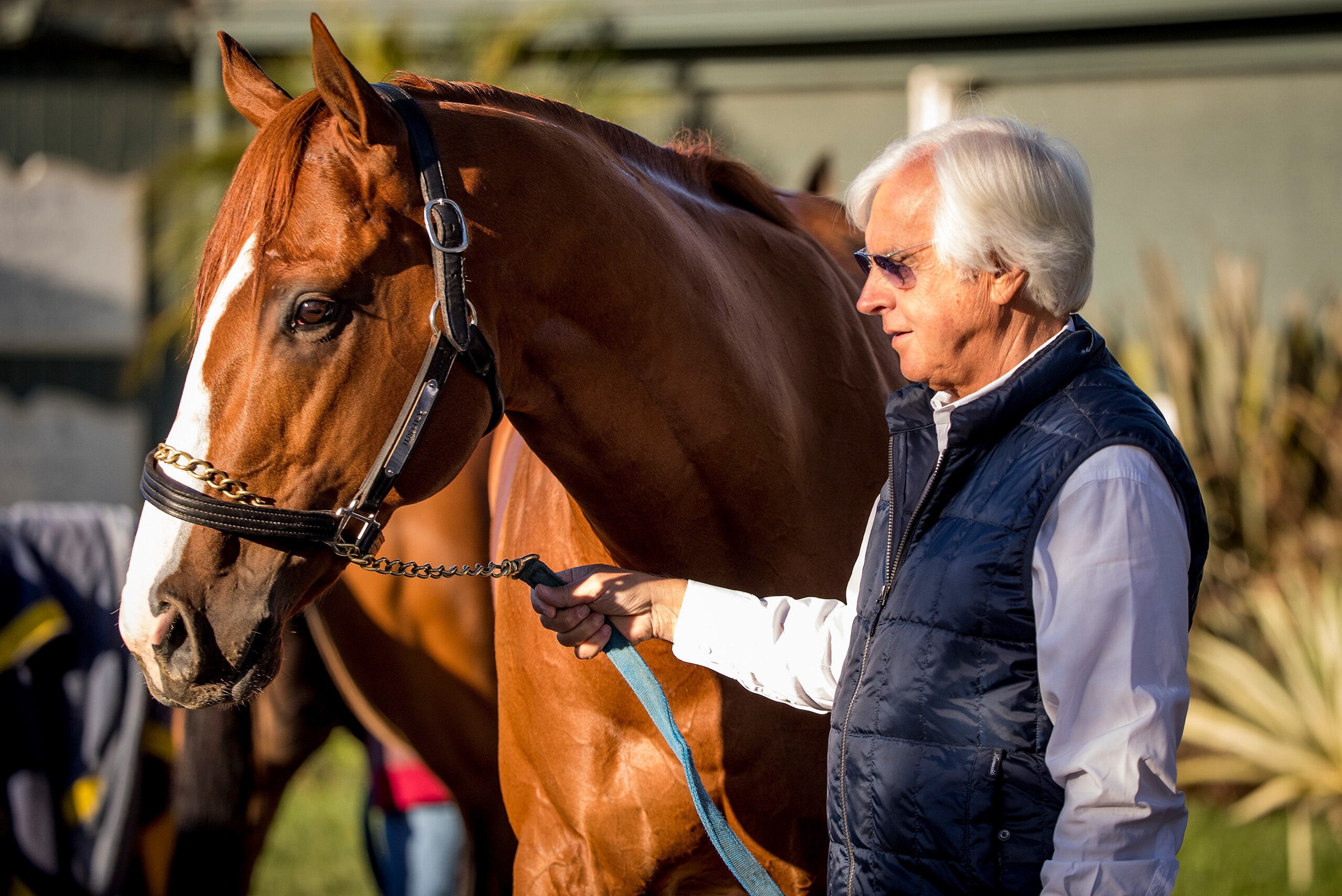 ARCADIA, CA - APRIL 21: Kentucky Derby favorite, Justify with trainer Bob Baffert at Santa Anita Park on April 21, 2018 in Arcadia, California. (Photo by Alex Evers/Eclipse Sportswire/Getty Images)